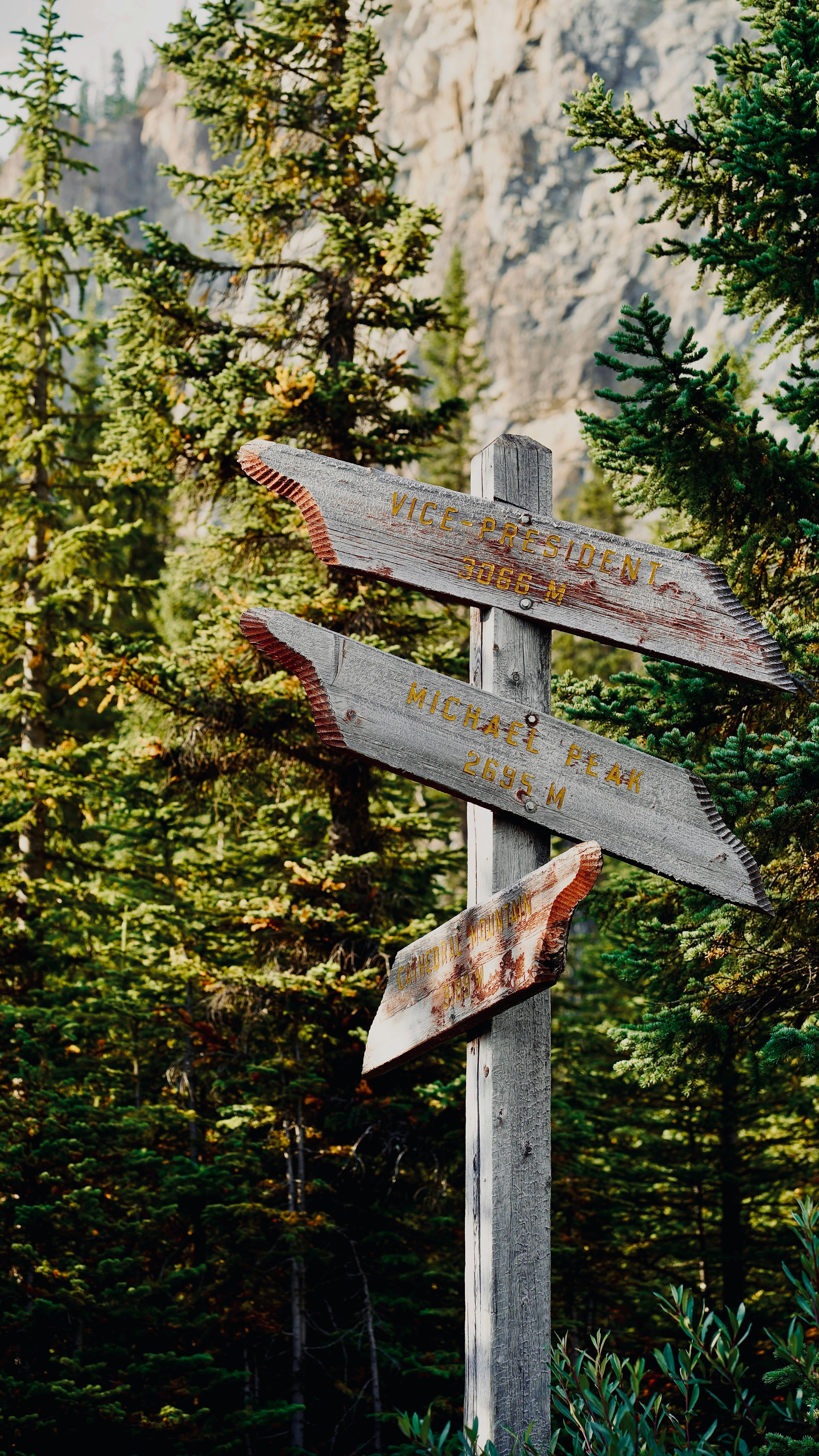 Photo by sangam_sharma