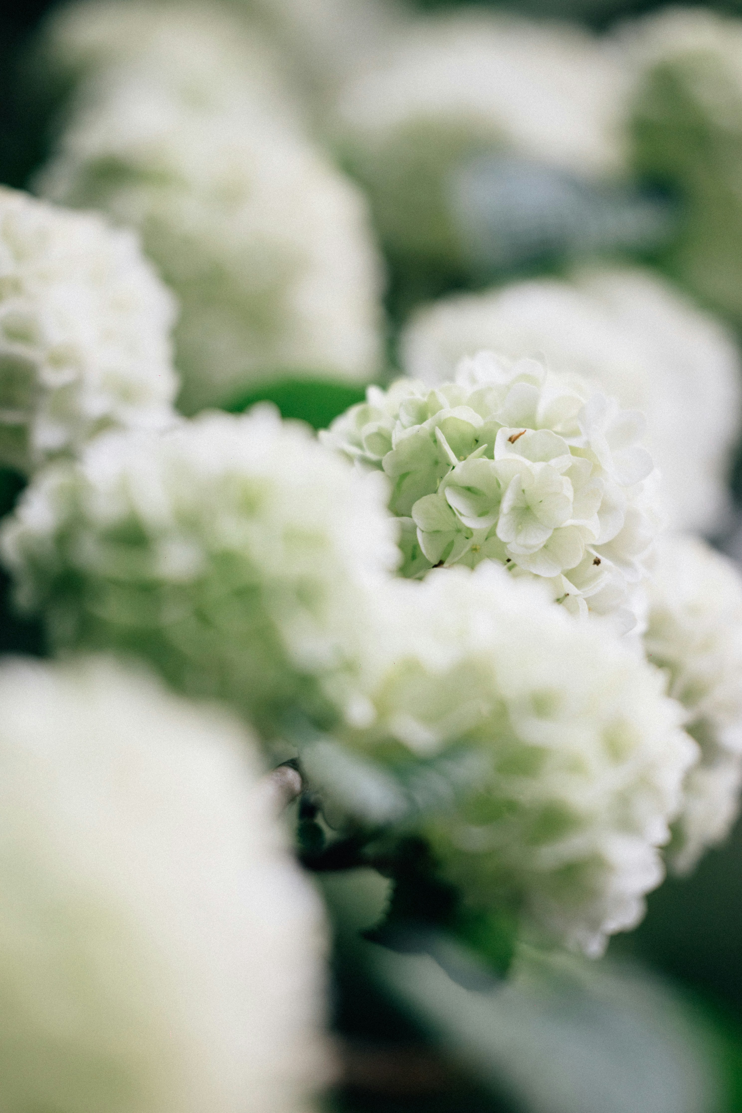 Photo by tsuyoshikozu