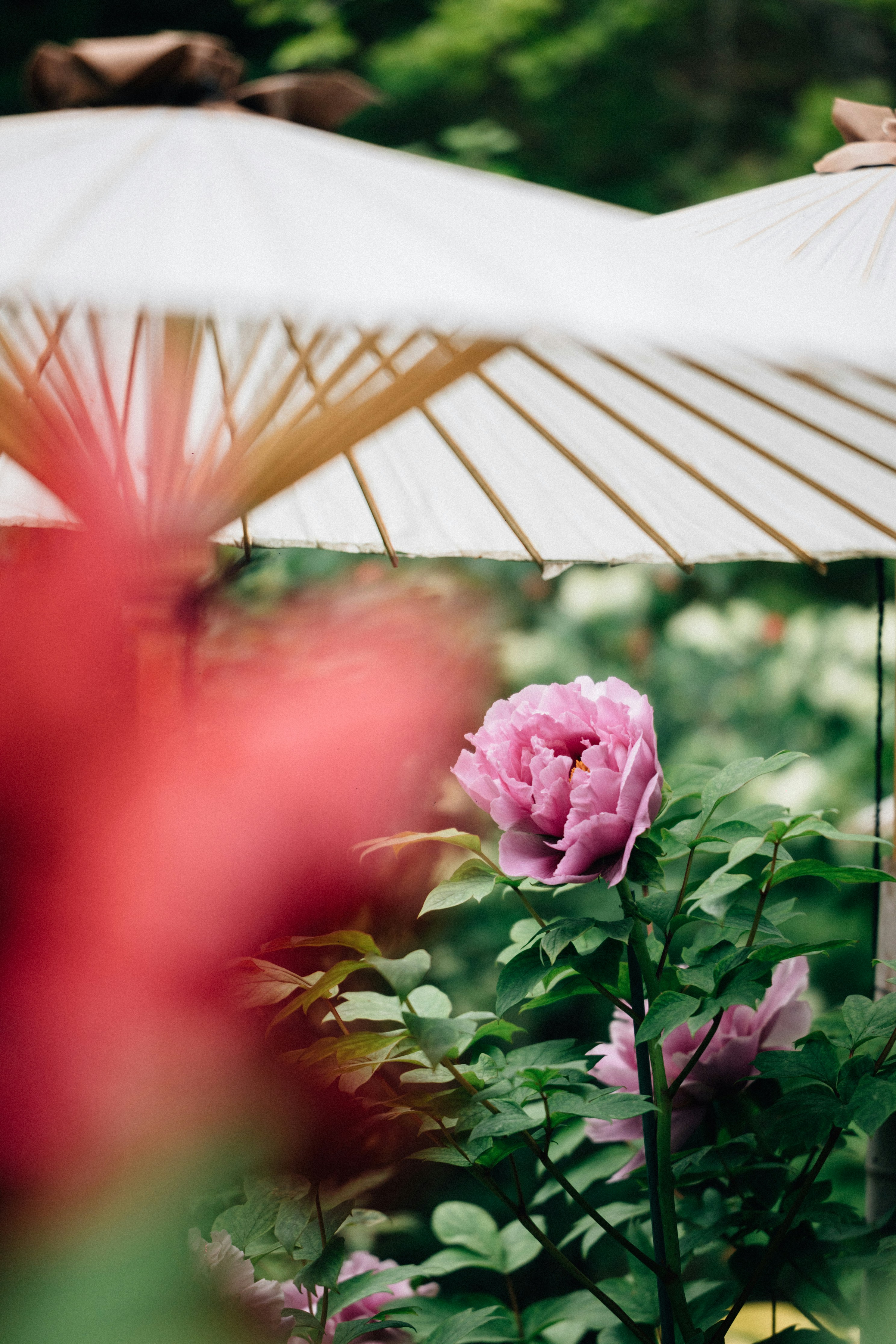 Photo by tsuyoshikozu