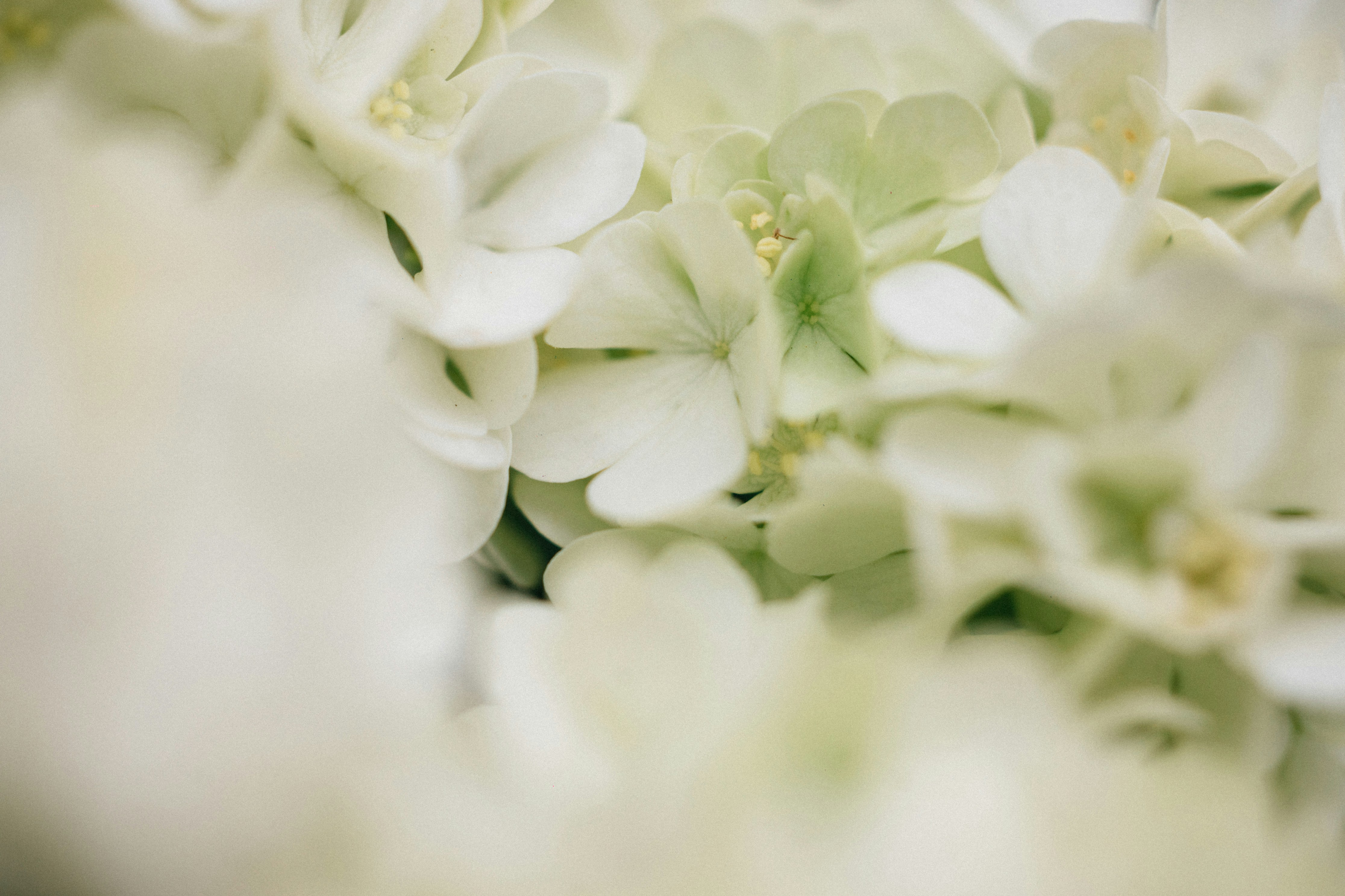 Photo by tsuyoshikozu