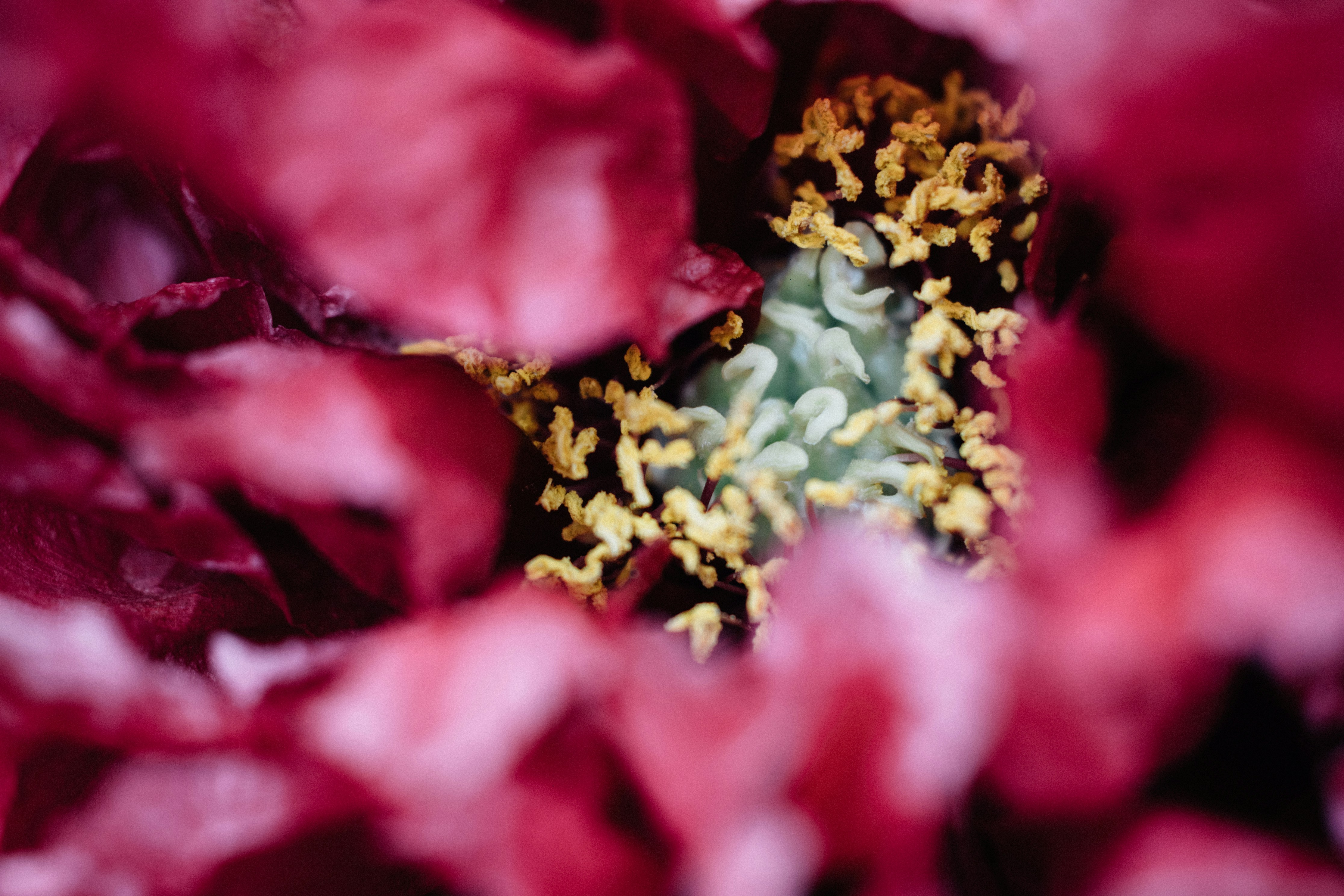 Photo by tsuyoshikozu