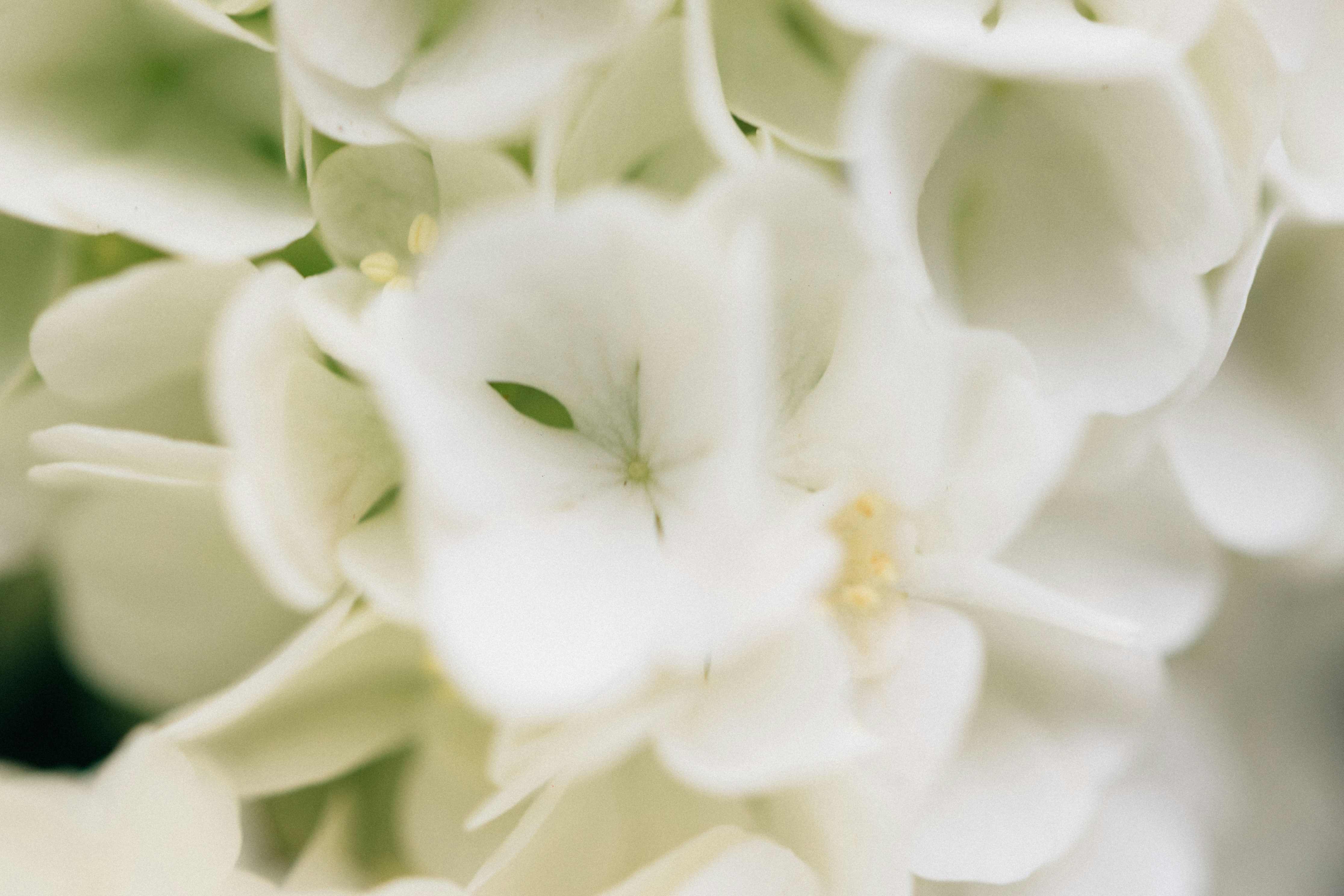 Photo by tsuyoshikozu