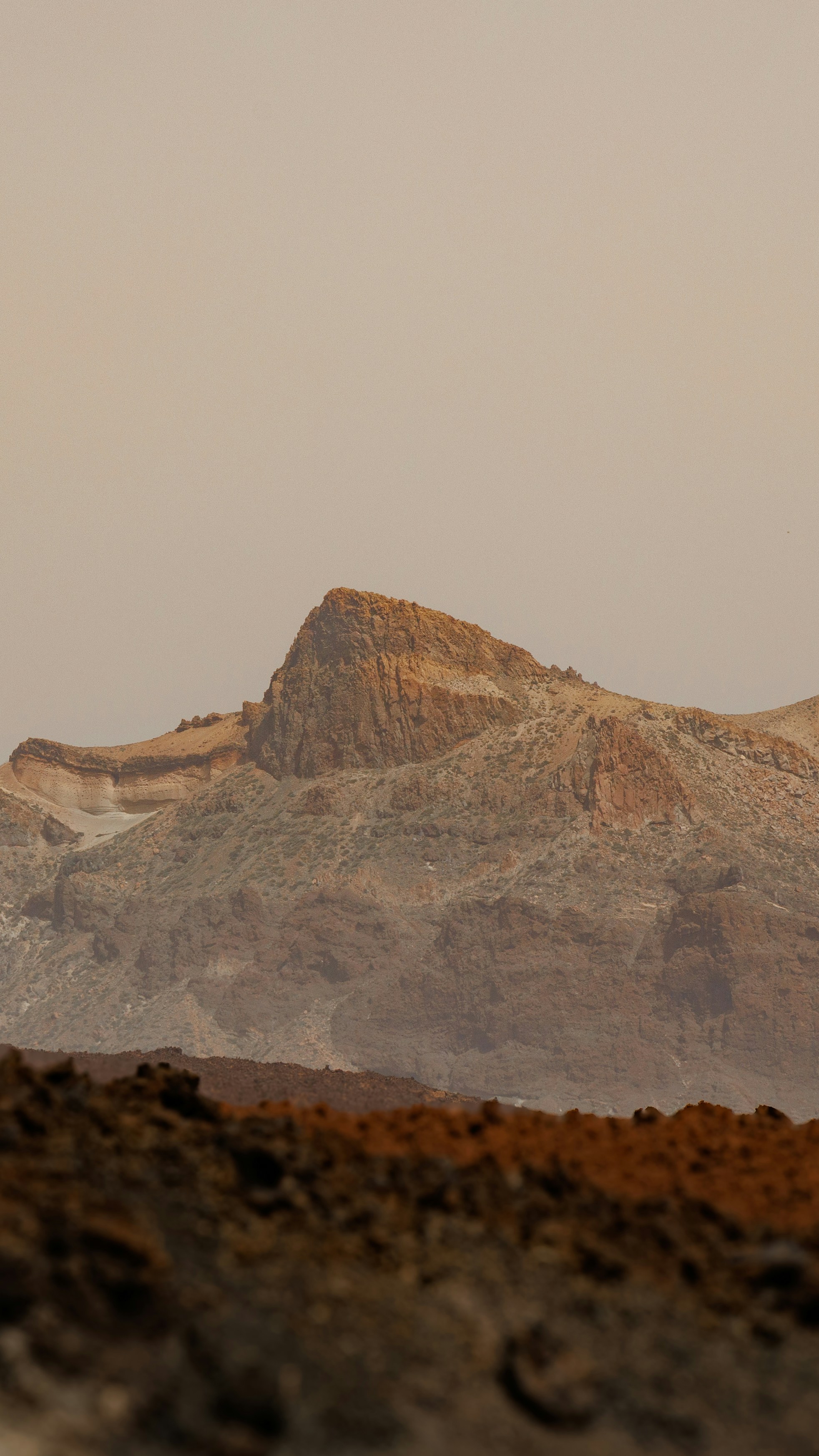 A mountain range with a bird flying over it