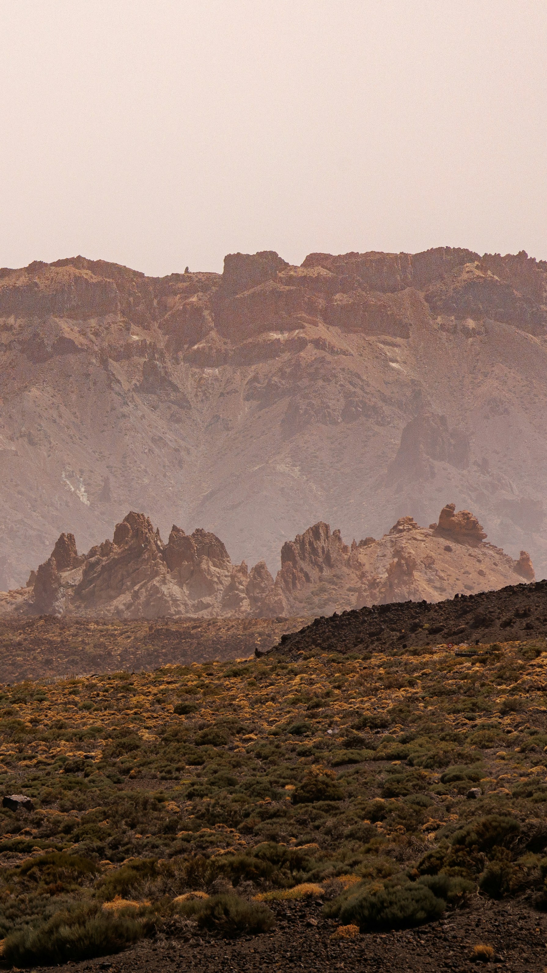 Photo by kneervisuals