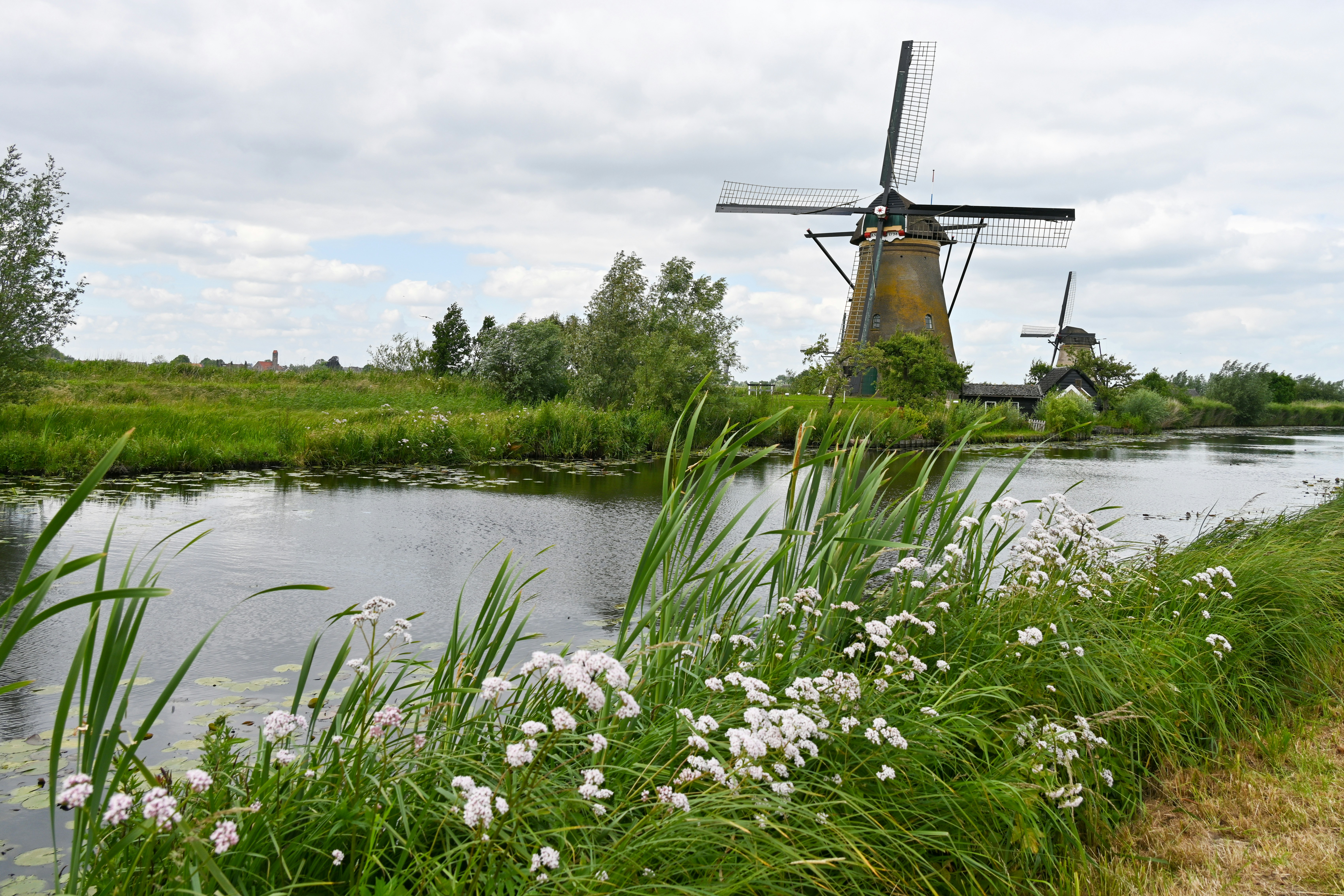 Amsterdam Board Meeting