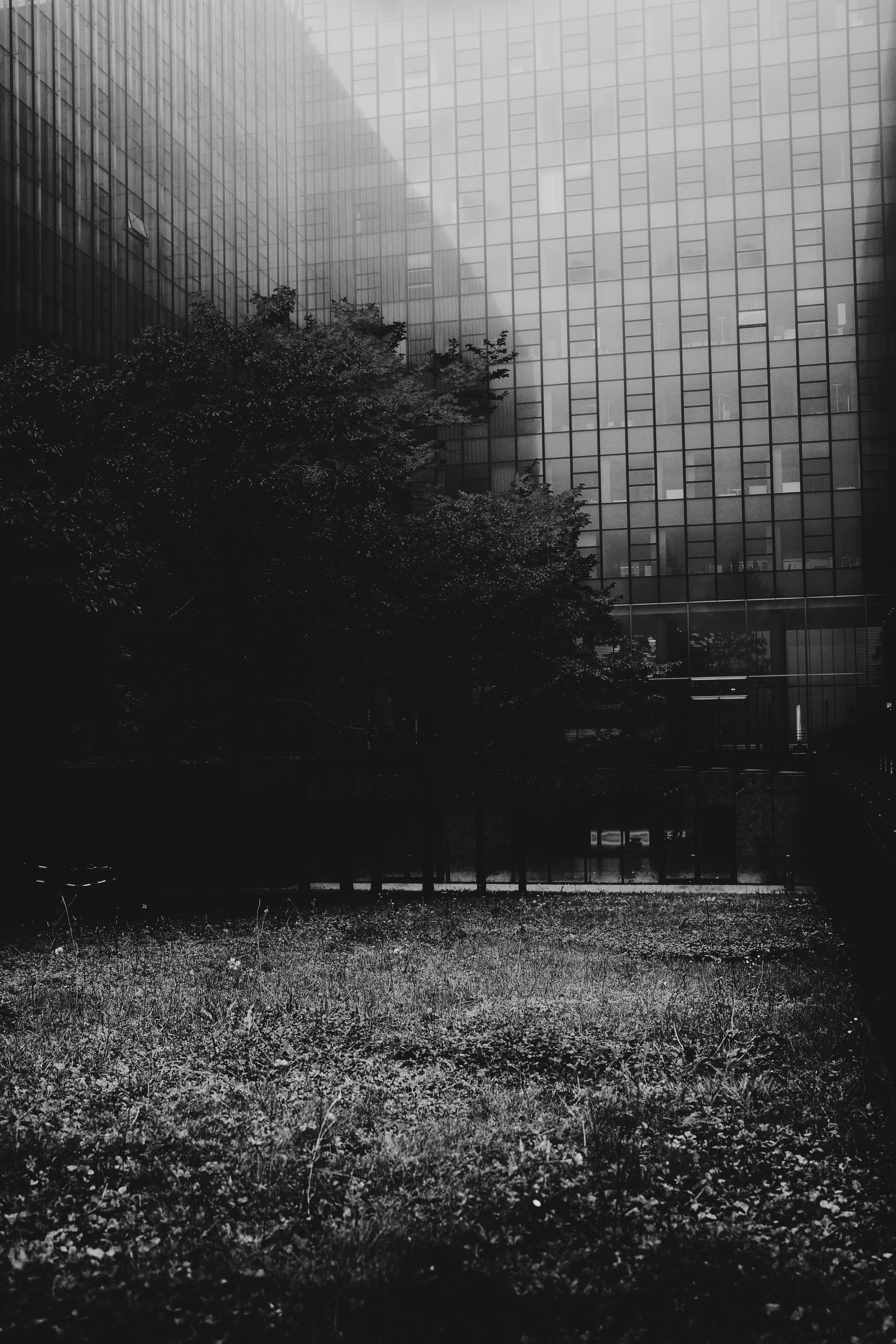 abandoned bench in monochrome