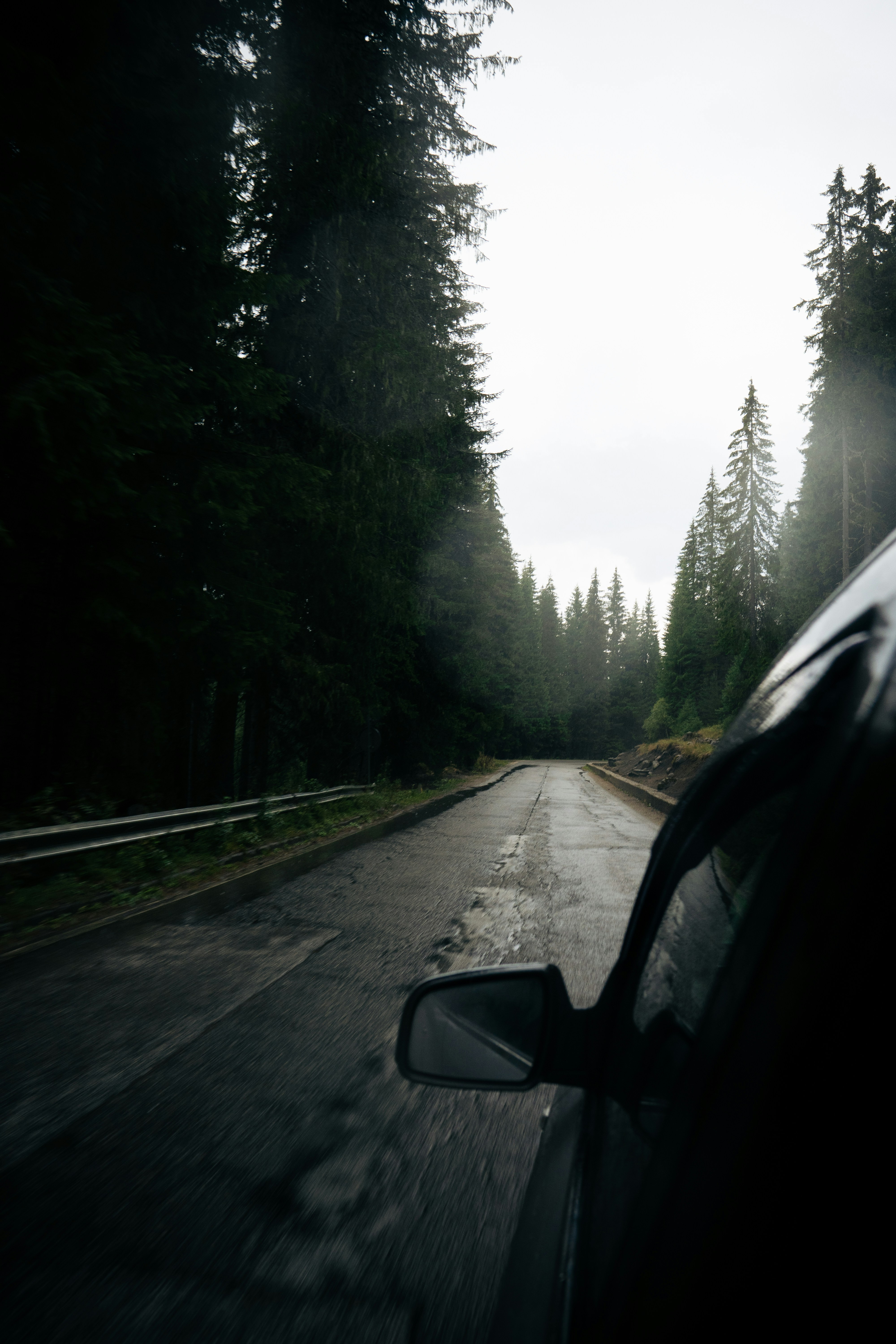 Photo by kristiqnspasov19