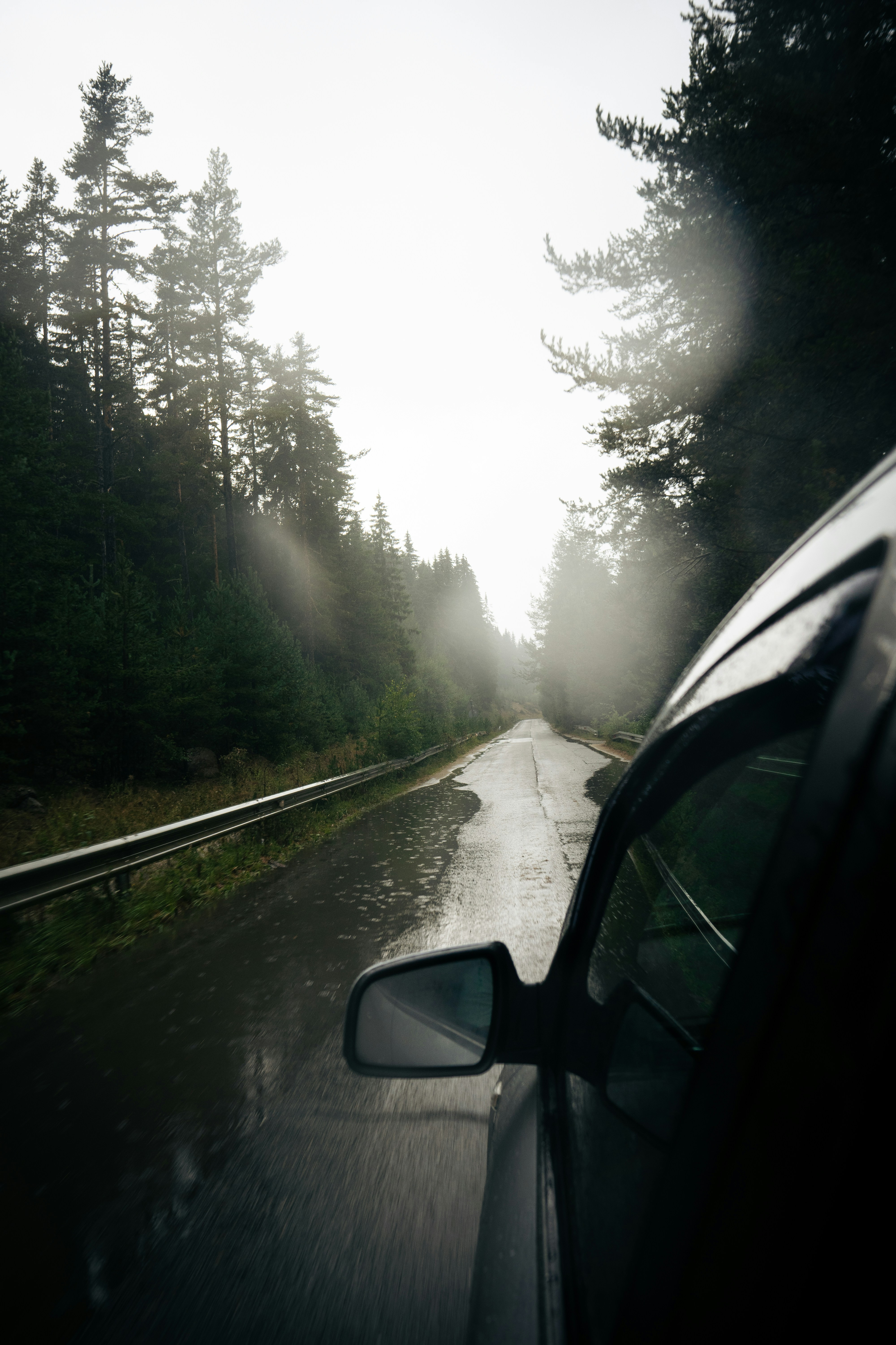 Photo by kristiqnspasov19