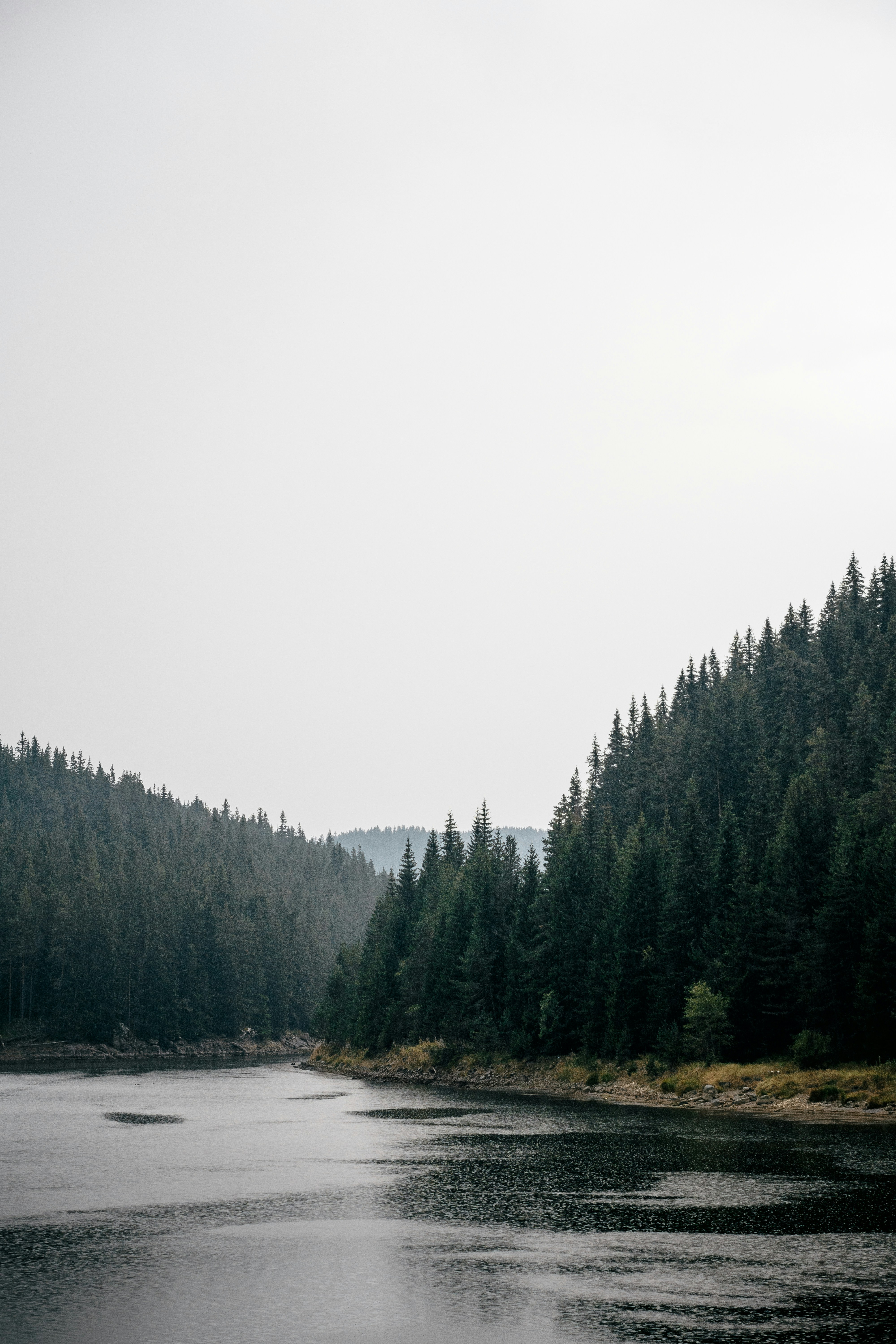 Photo by kristiqnspasov19