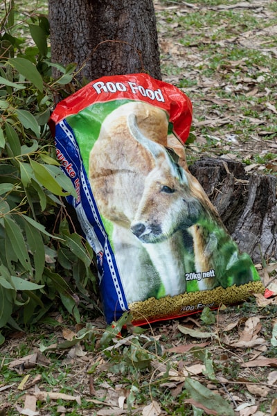 James Wellbeloved Dog Food Review: Is It Worth the Premium?