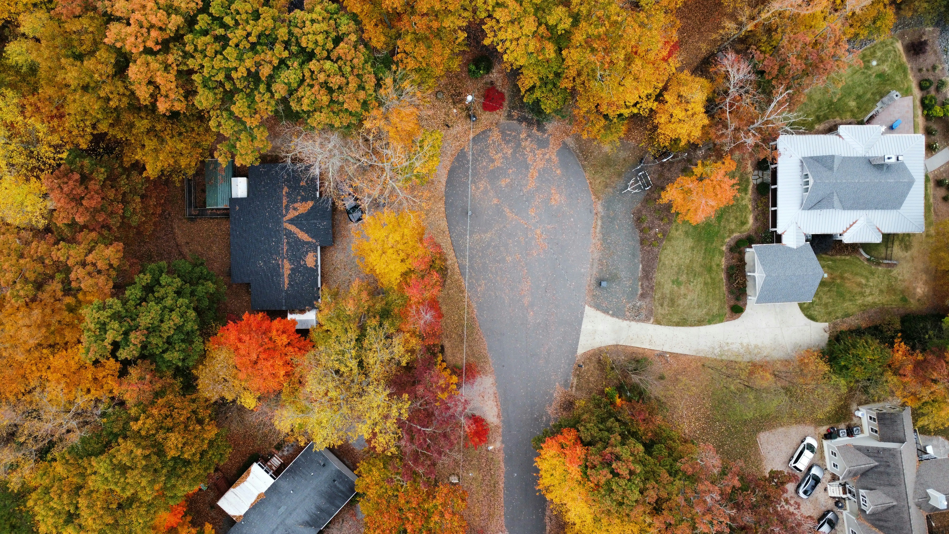 Photo by jcollins_97