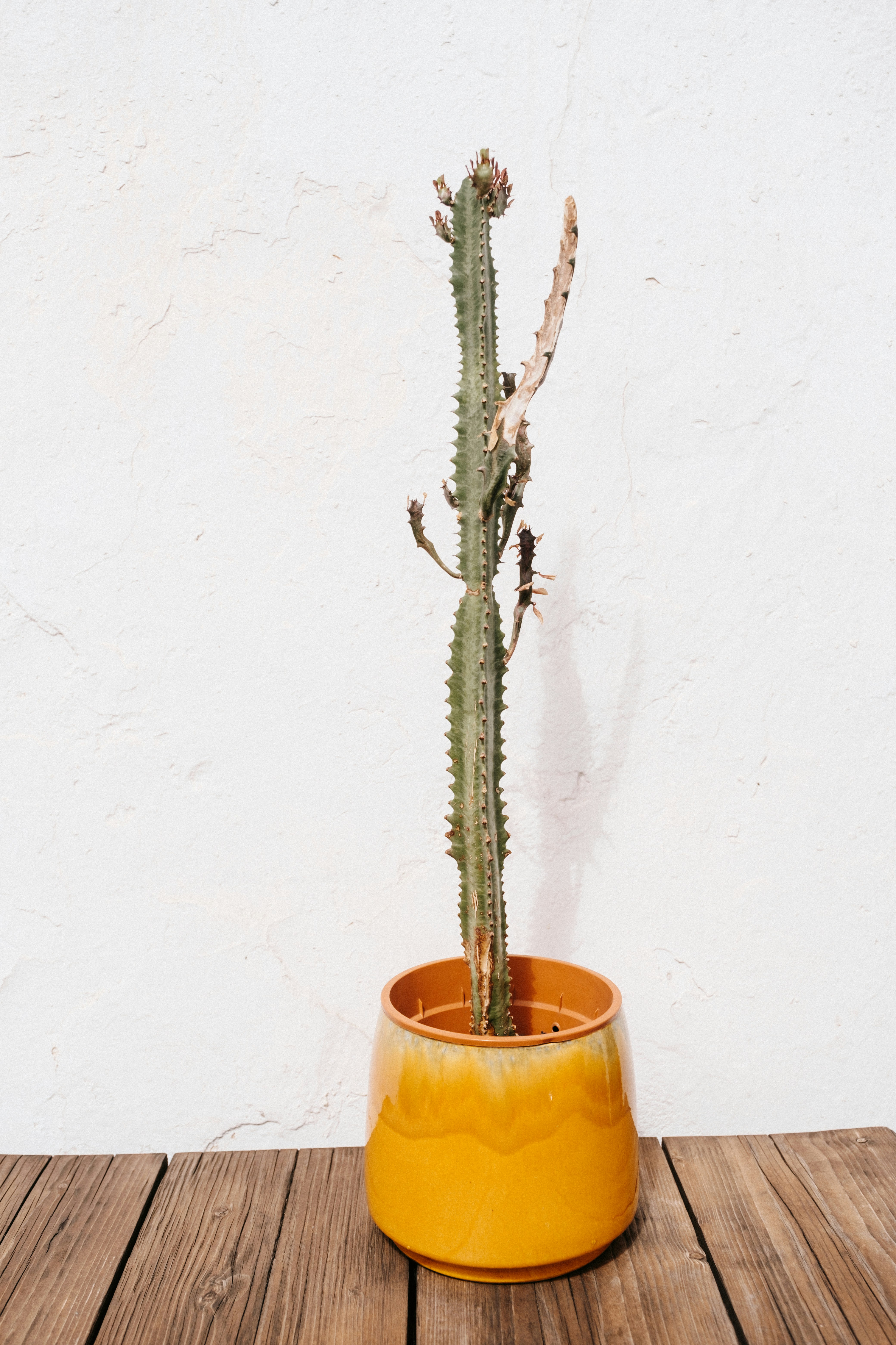 Essay Plan: "The mental element for murder is currently too broad; but to confine it to an intent to kill would be to narrow it too far. Discuss."