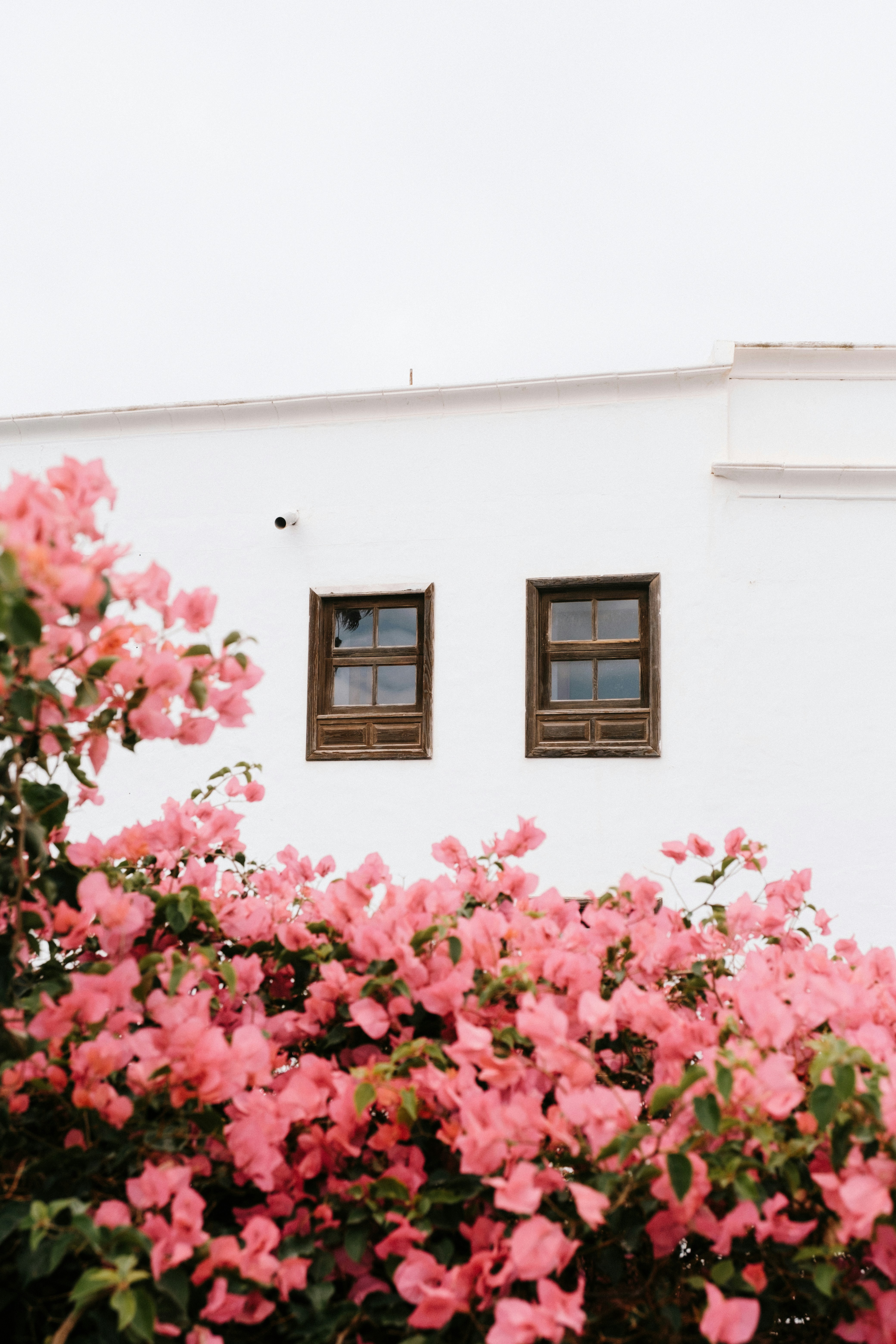 Habitar imagen destacada