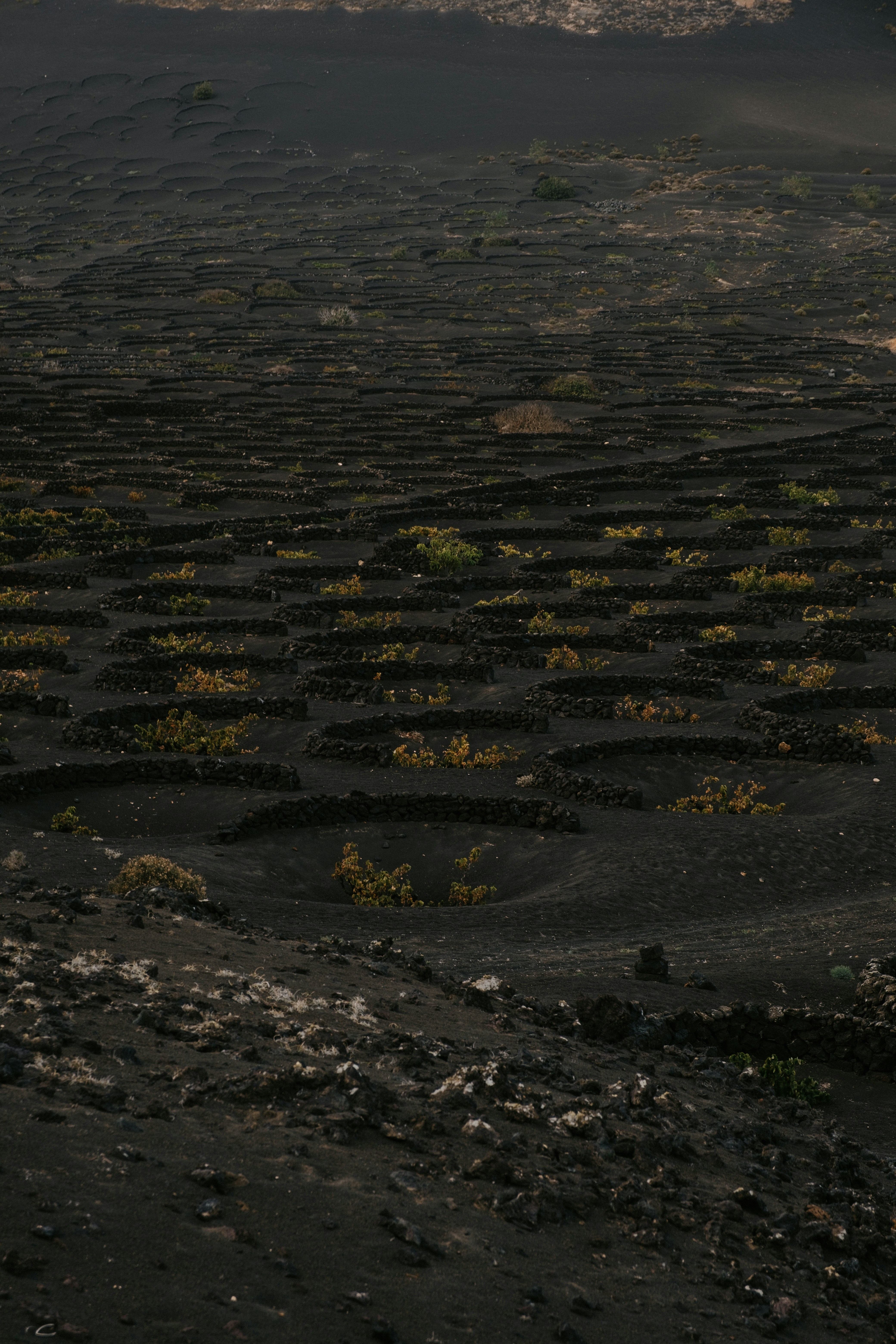A man riding a horse across a dirt field