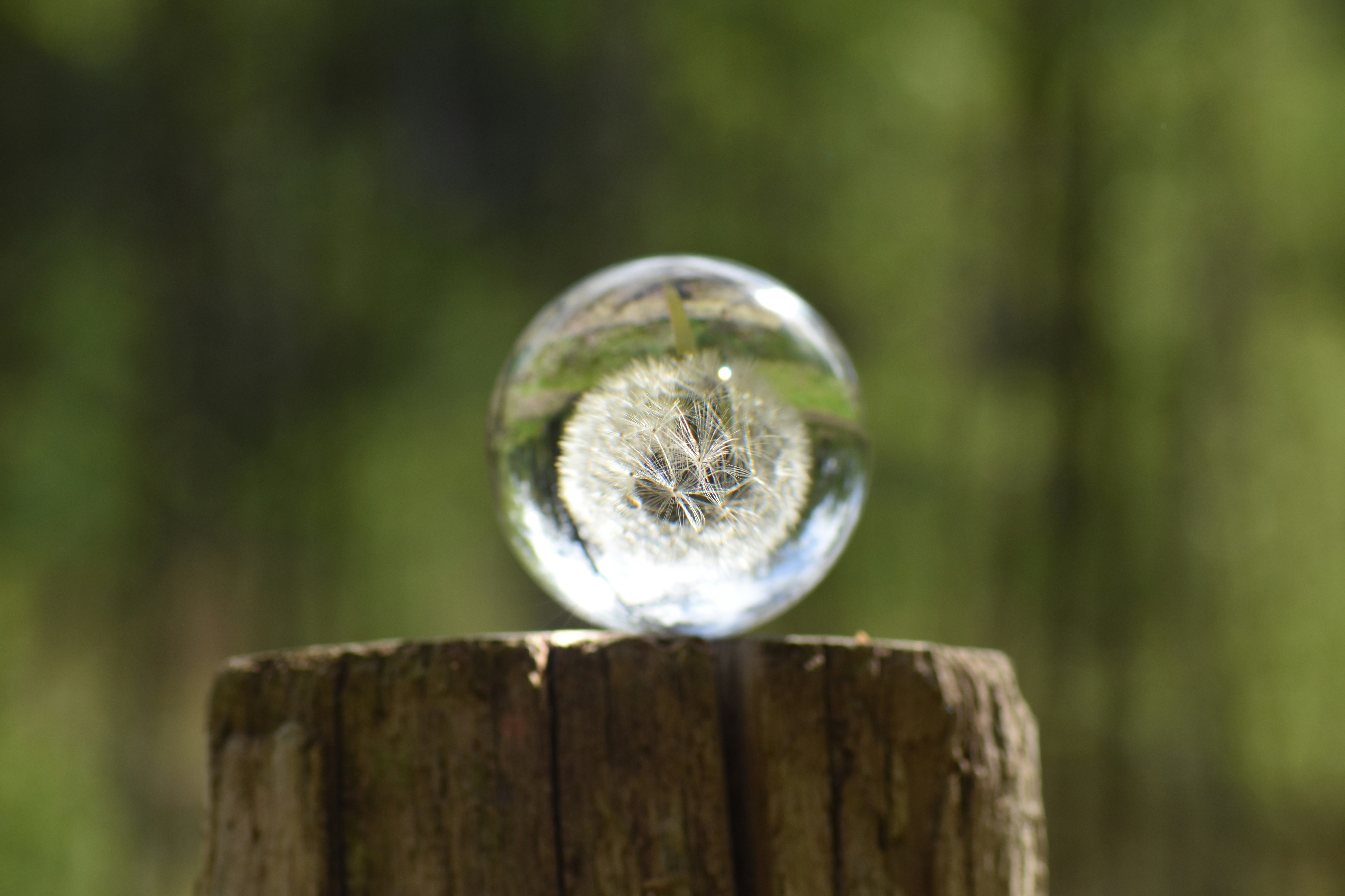 AI stock predictions 2026