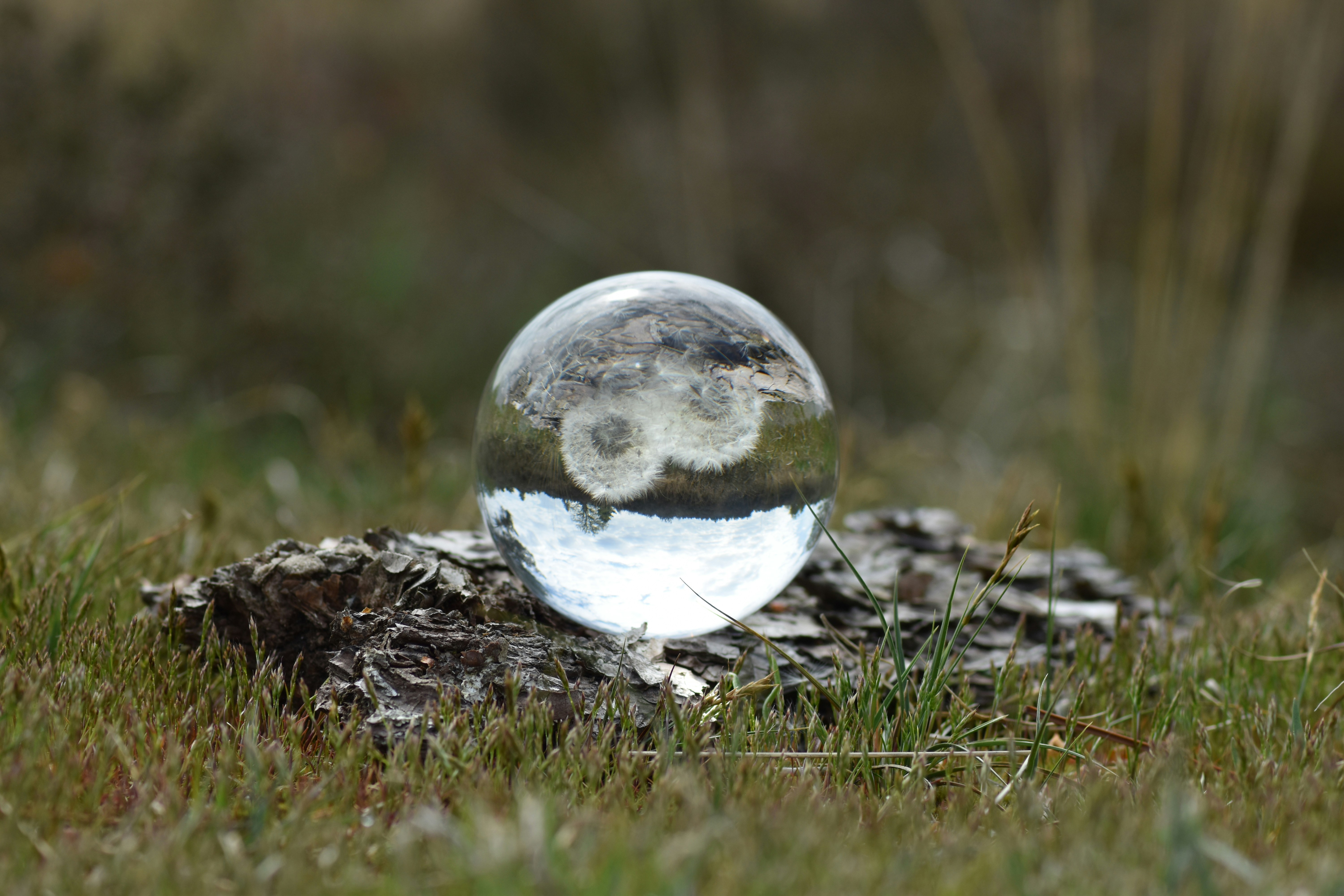 A snow globe sitting on top of a tree stump