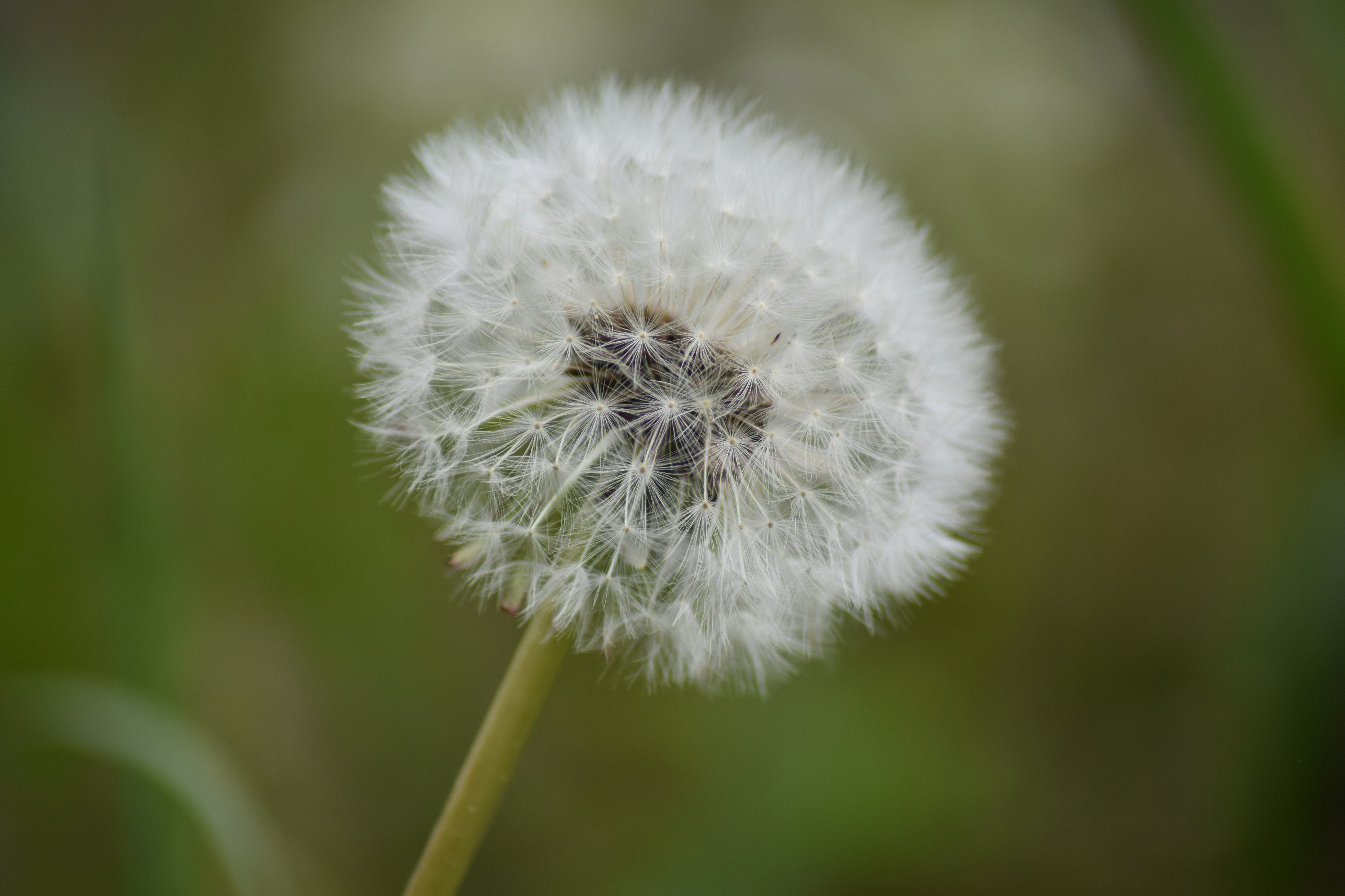 Photo by studionoordhoek