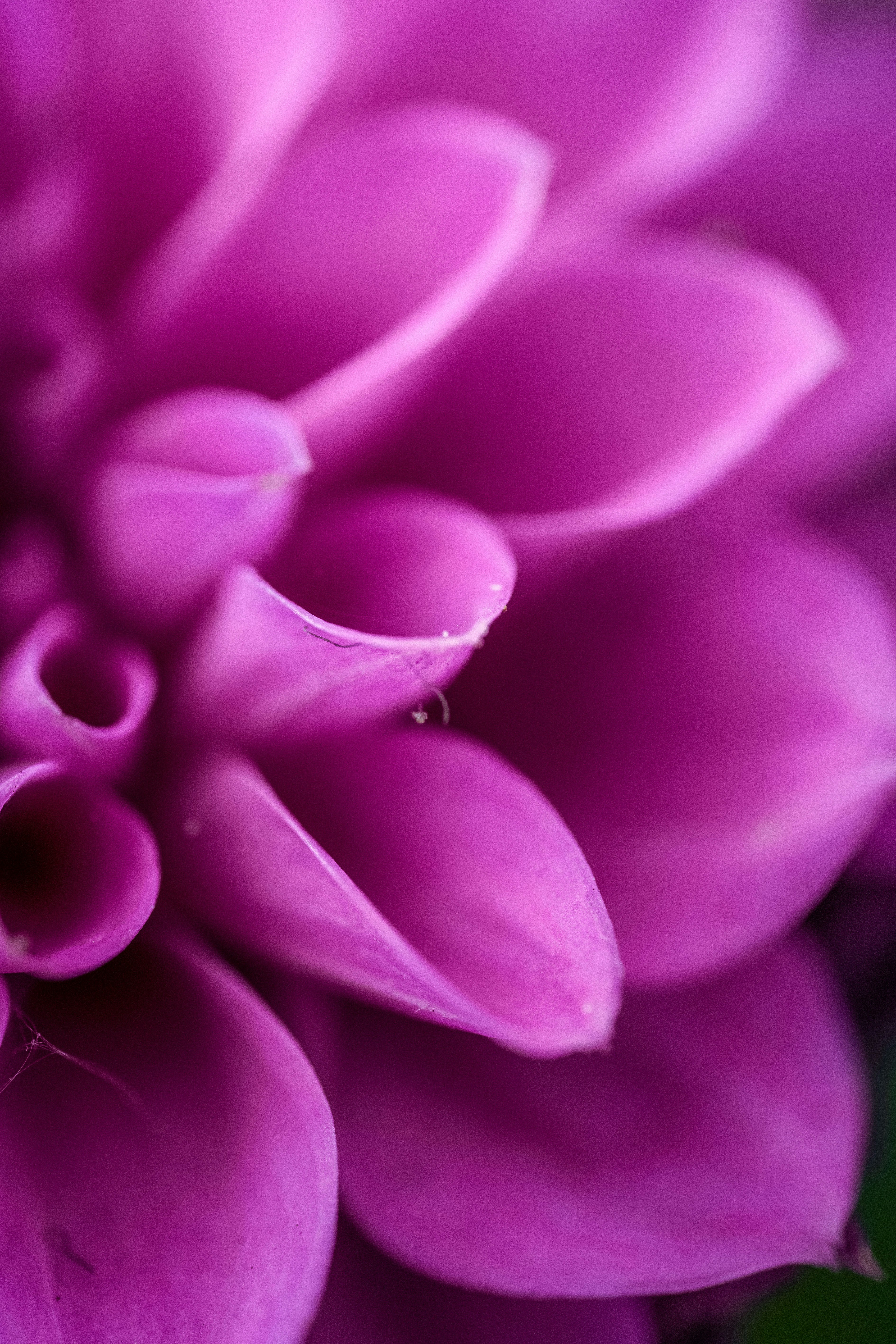 Photo by hameedtalebi