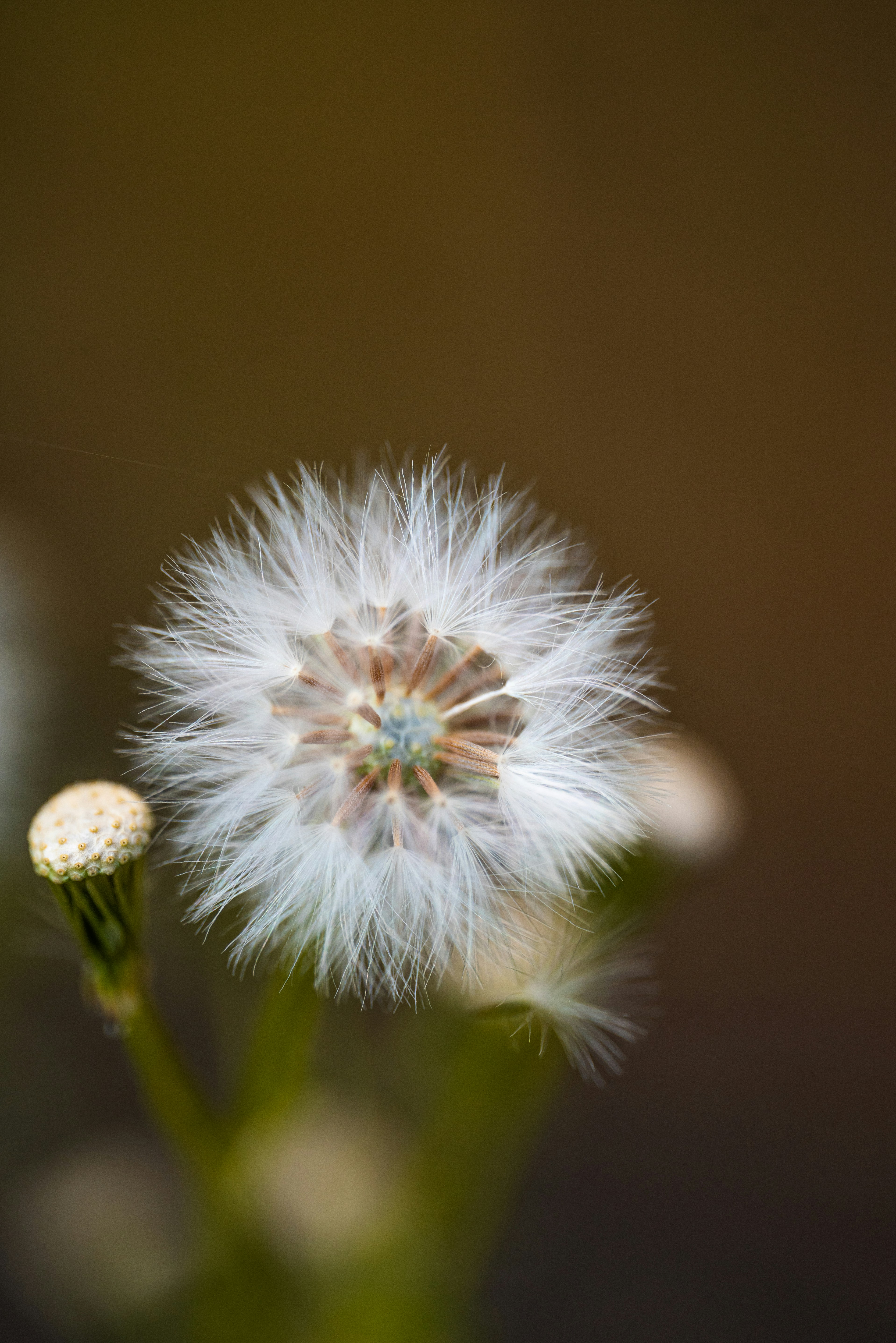 Photo by hameedtalebi