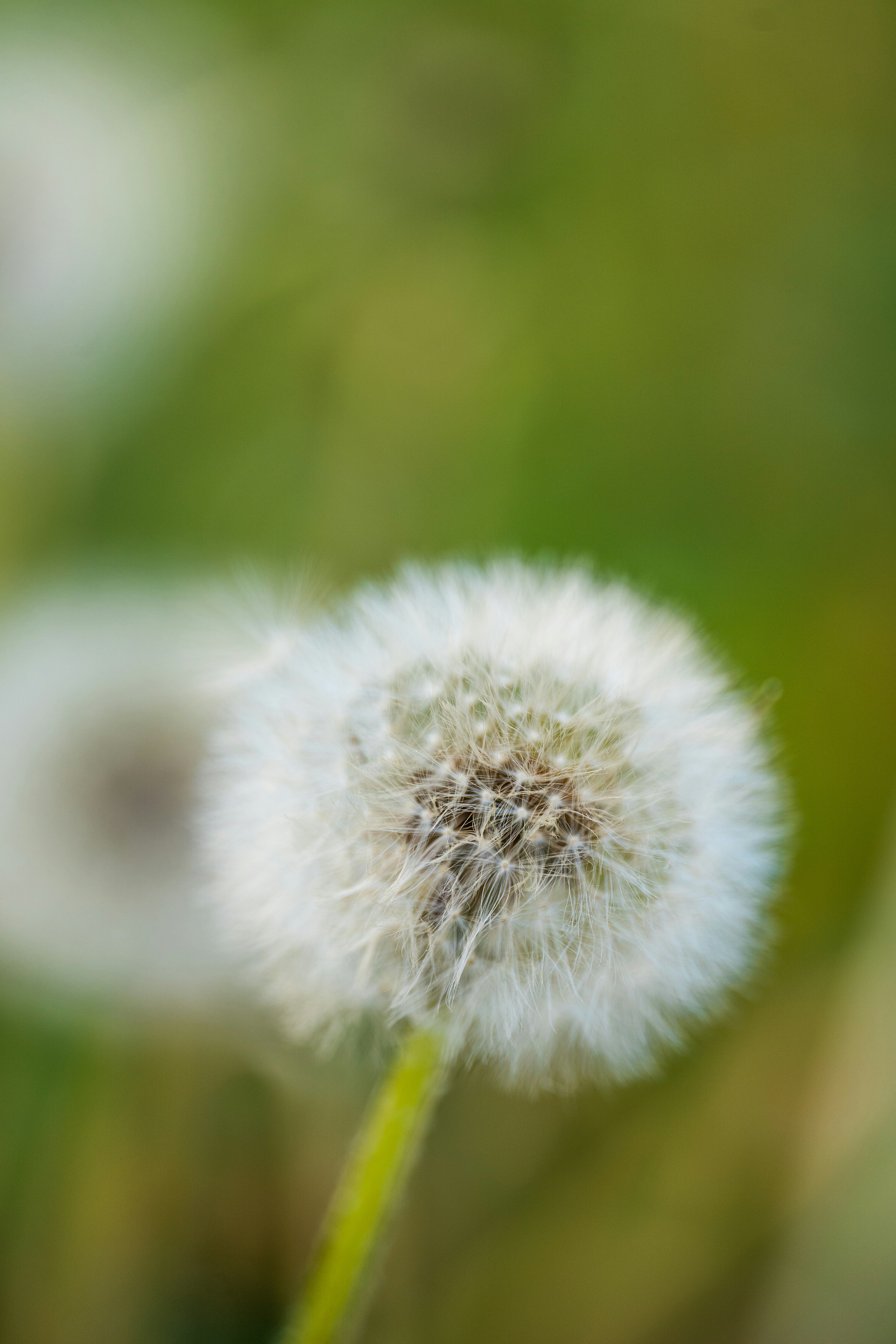 Photo by hameedtalebi