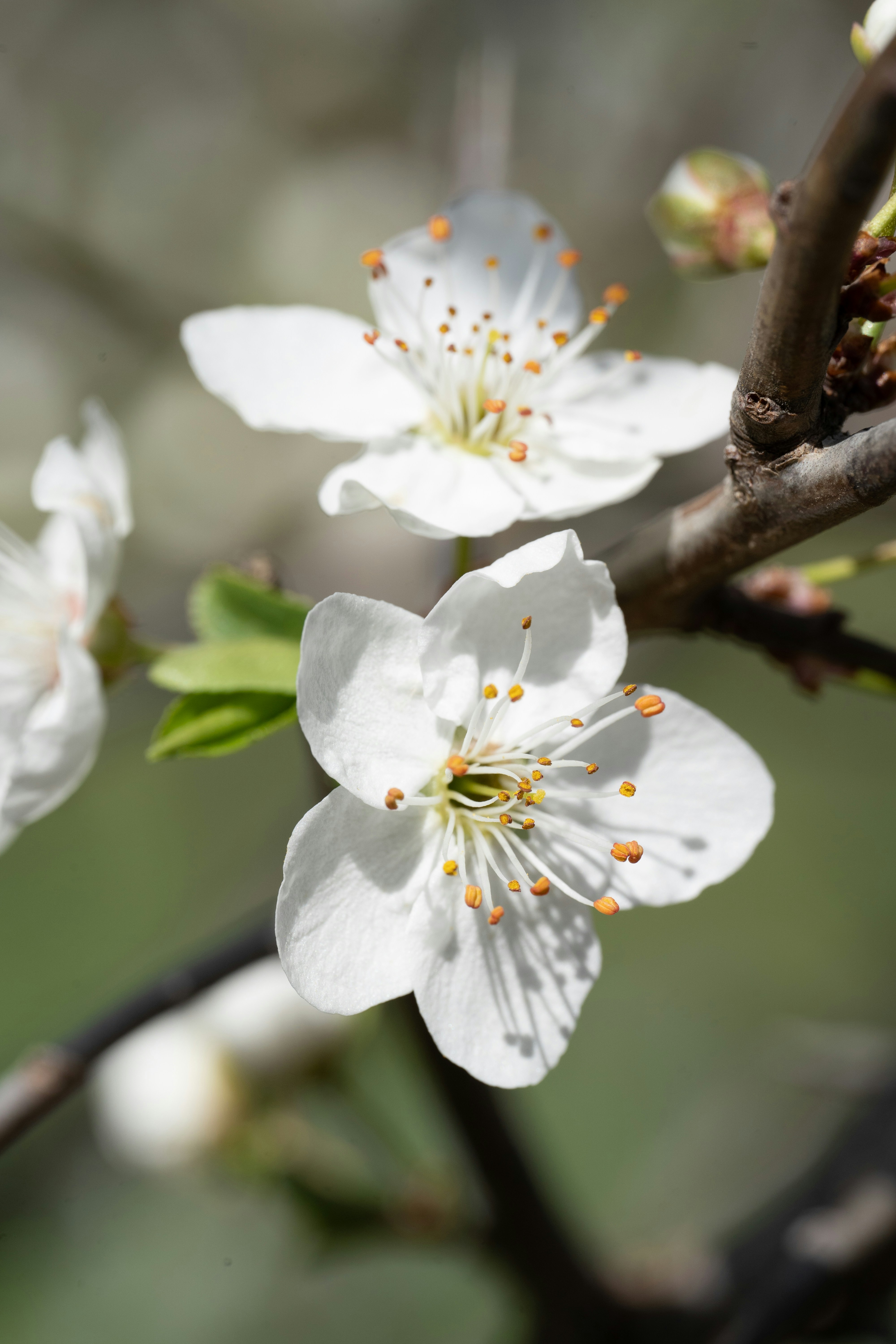 Photo by hameedtalebi