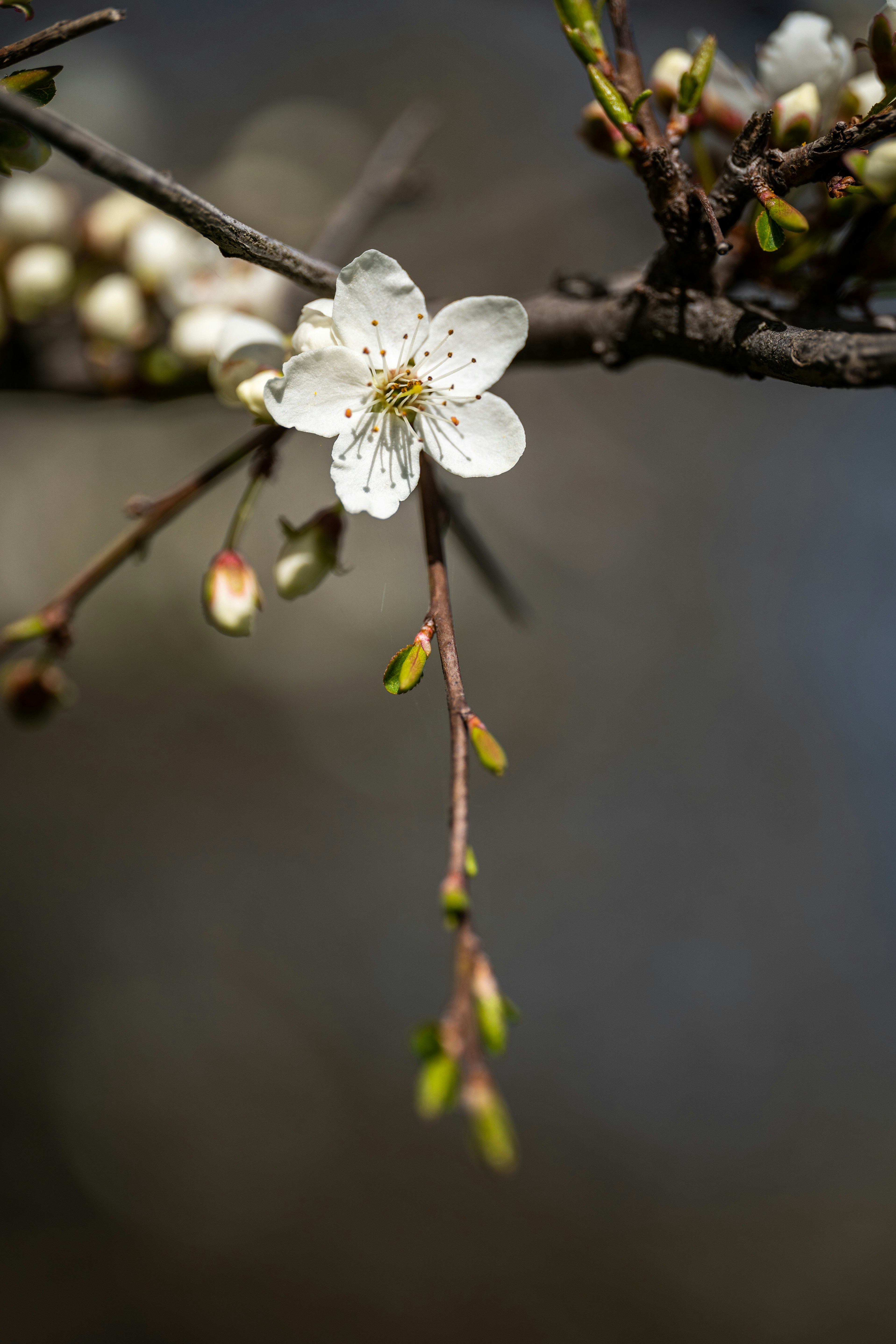 Photo by hameedtalebi