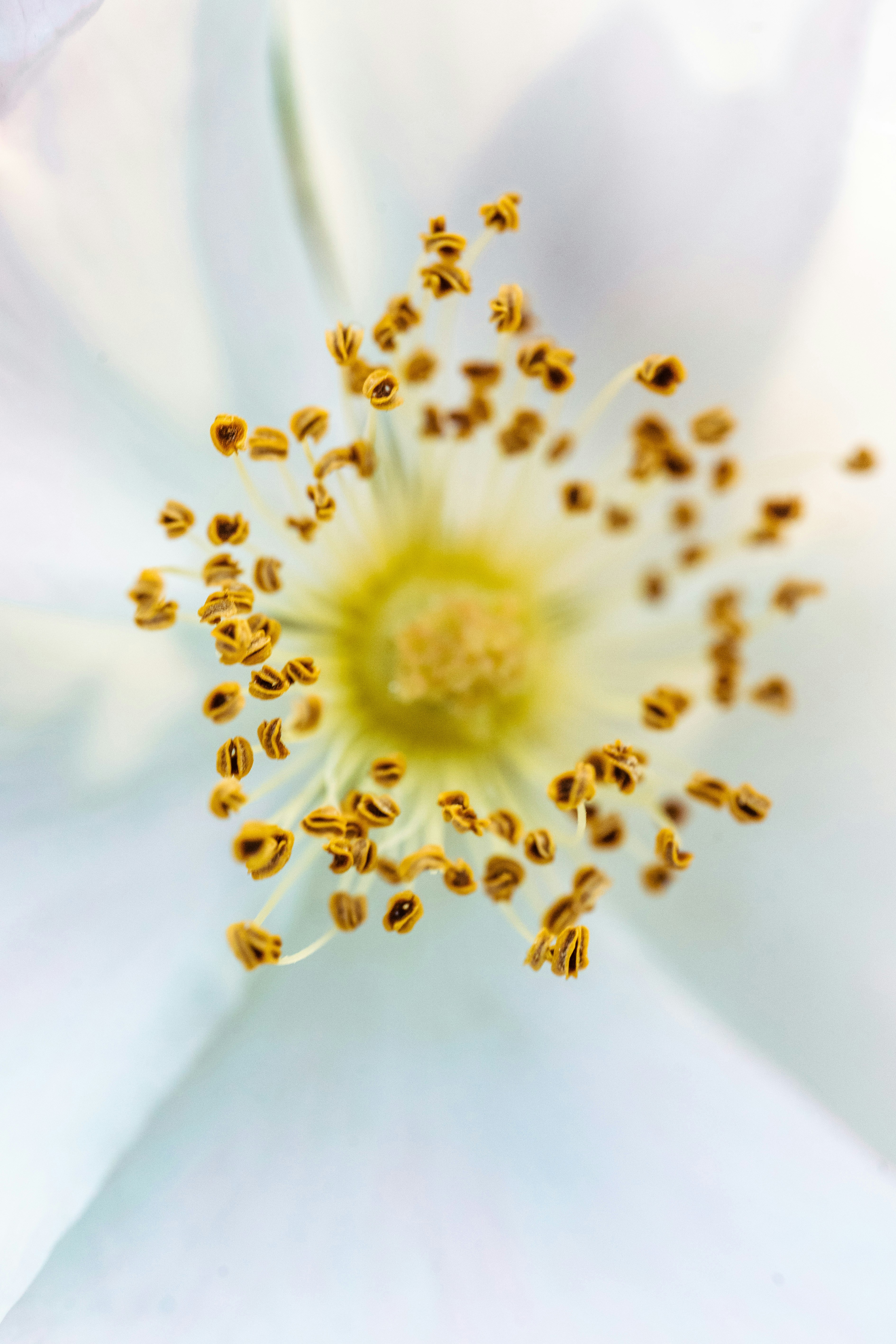 Photo by hameedtalebi