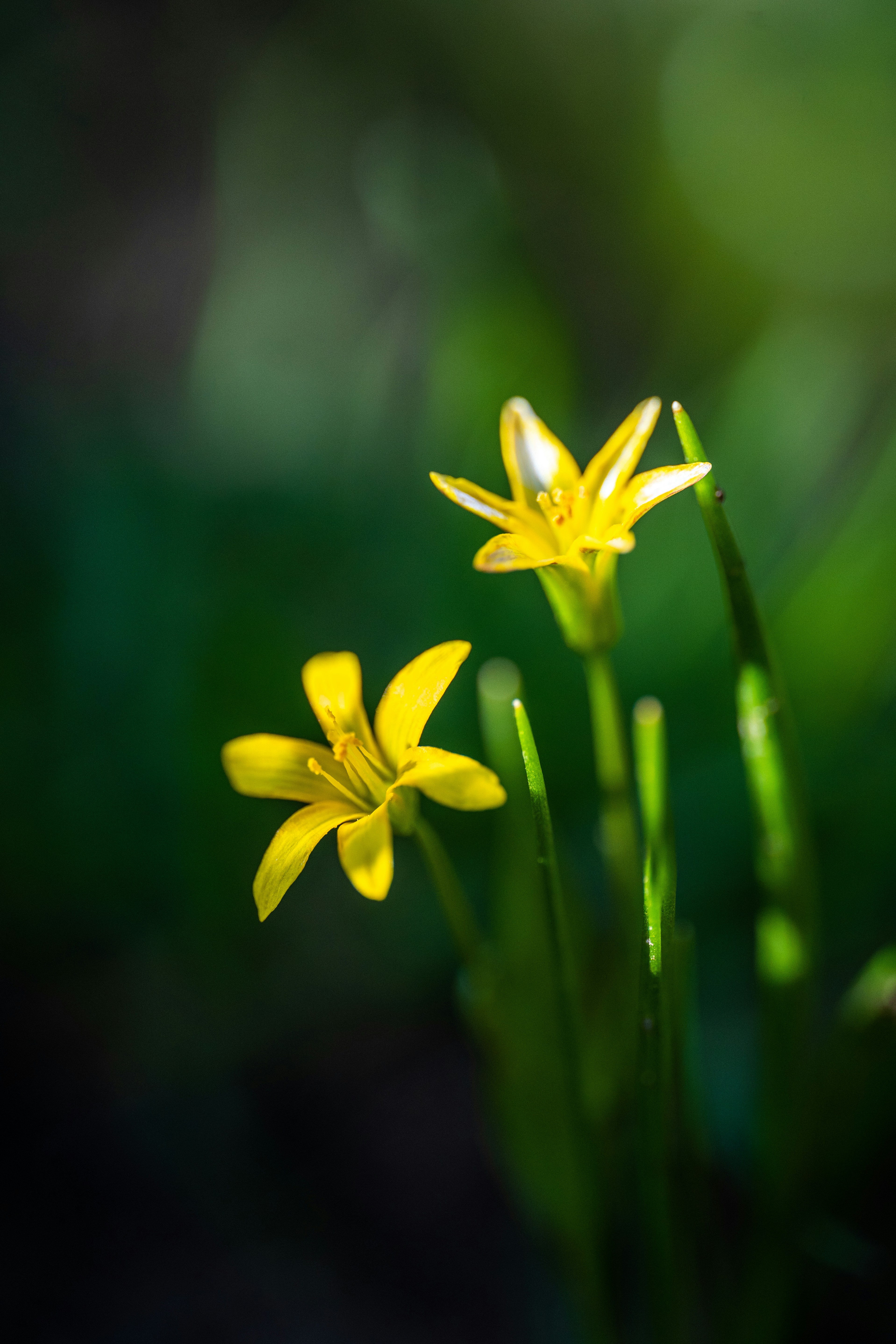 Photo by hameedtalebi