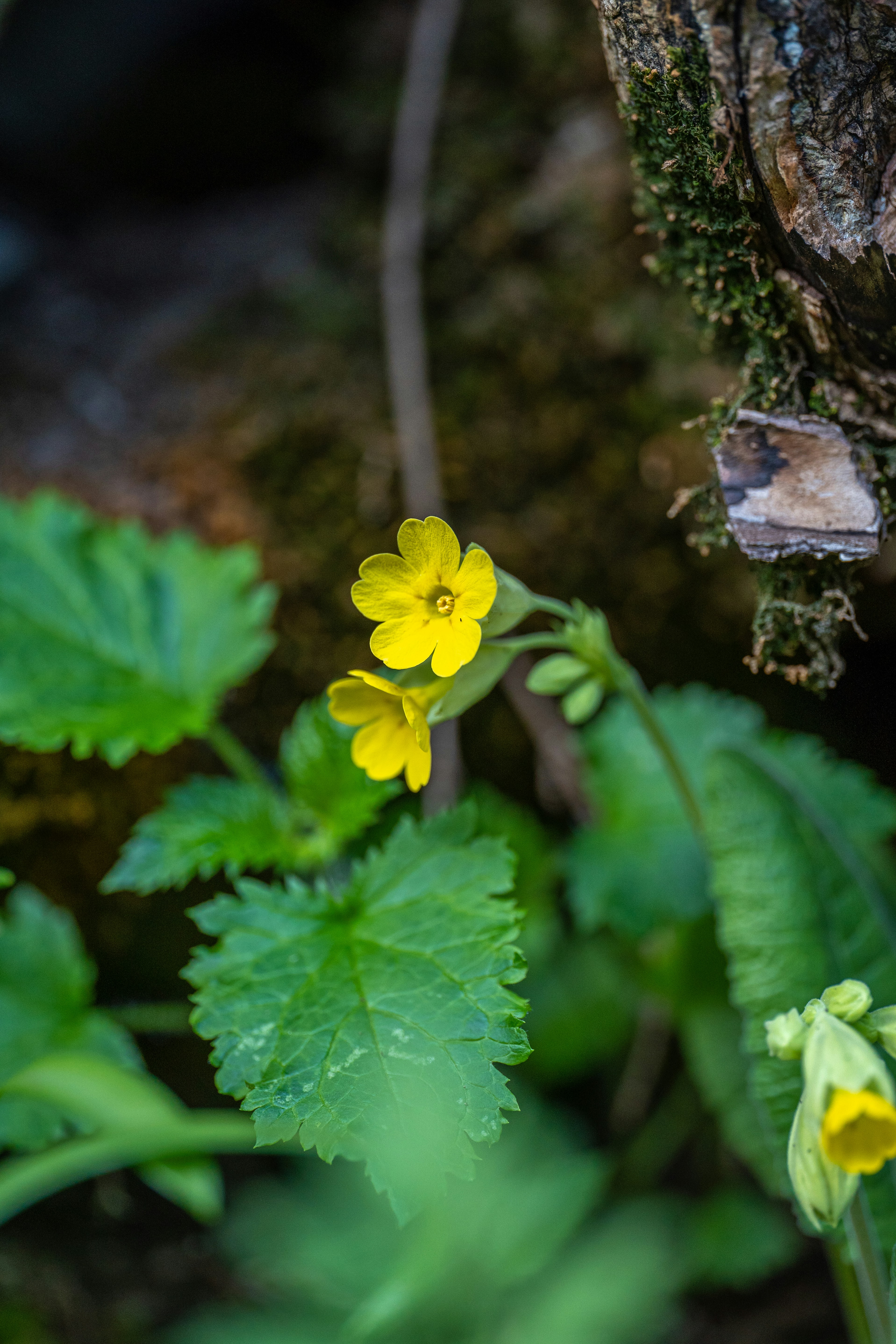 Photo by hameedtalebi