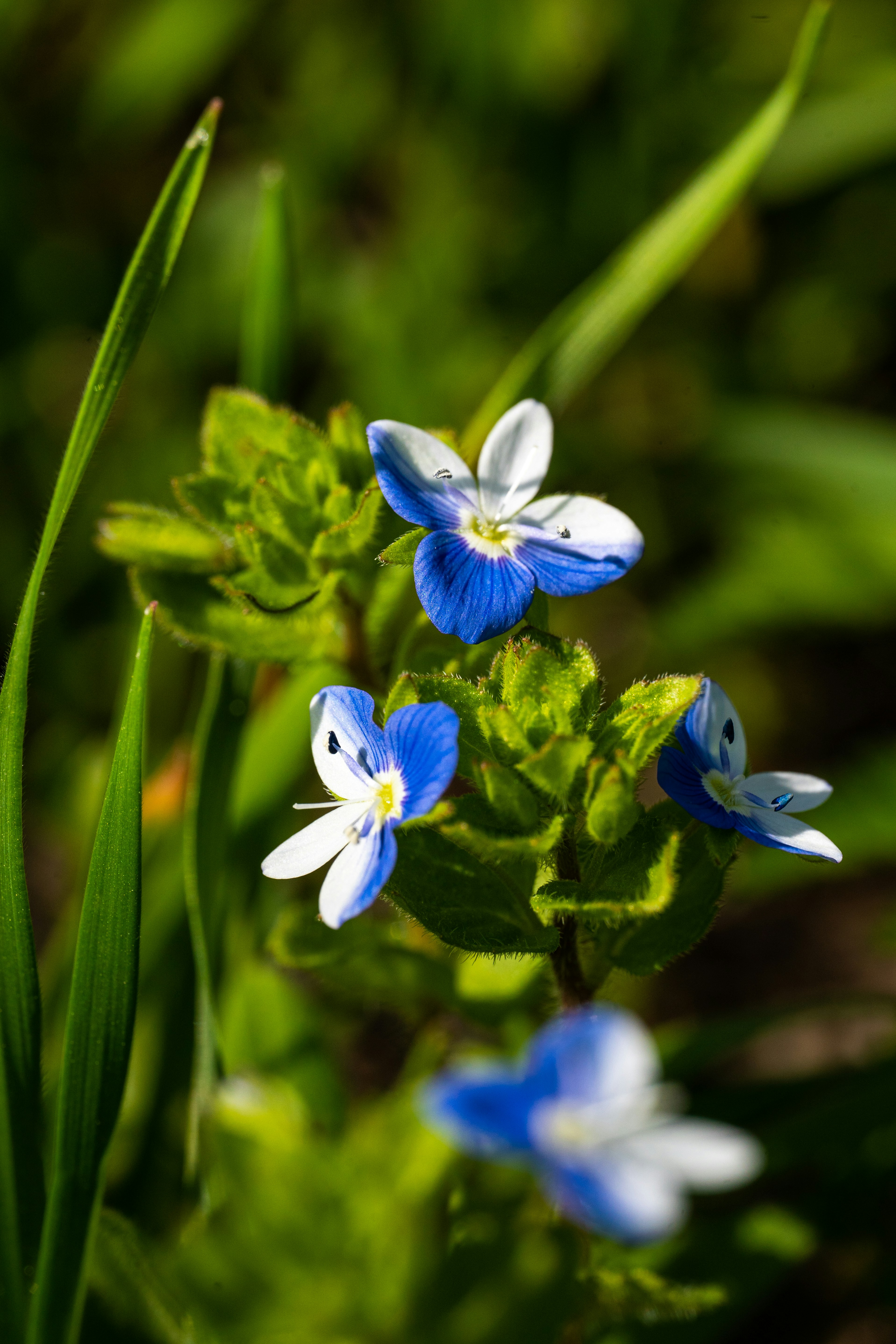 Photo by hameedtalebi