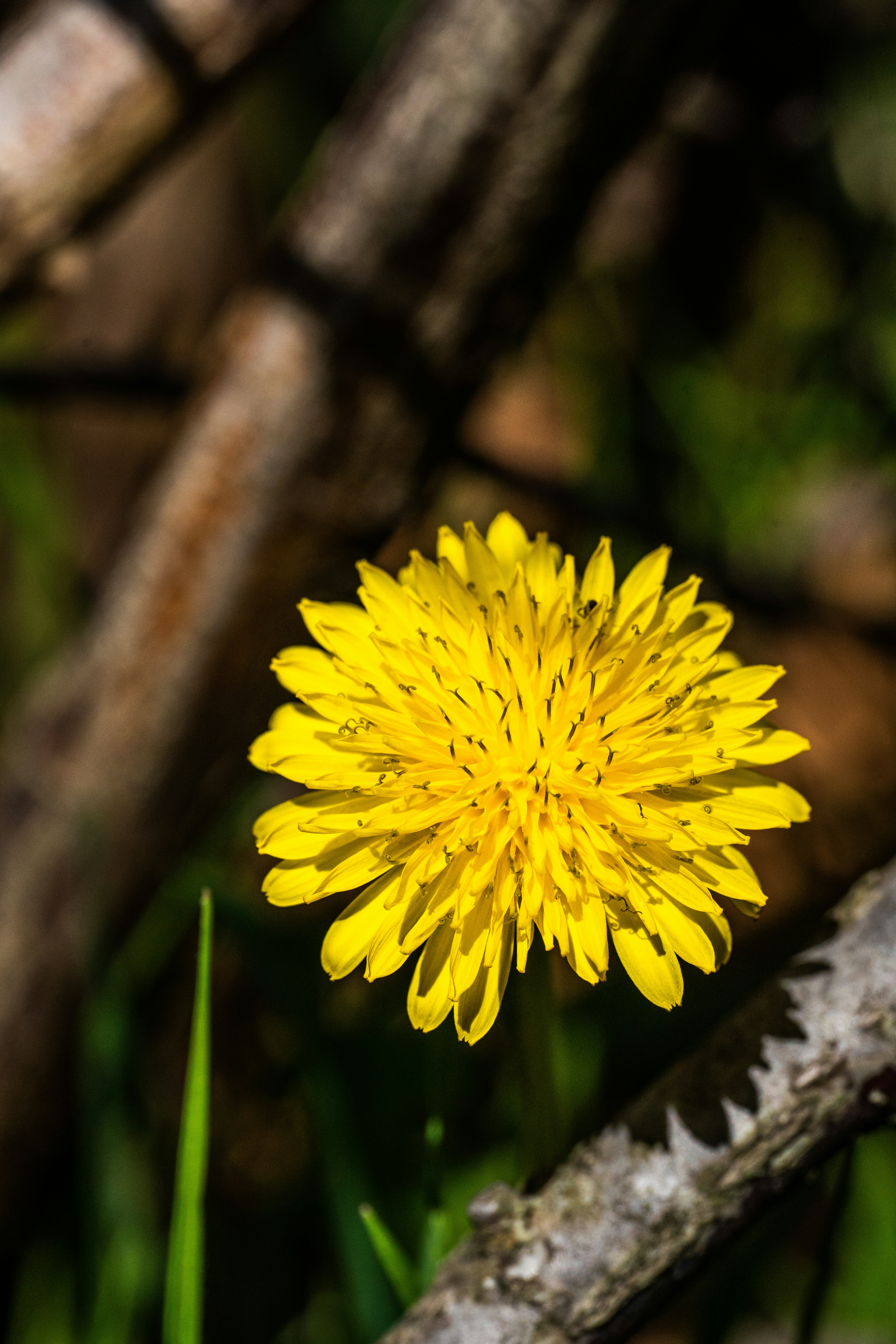 Photo by hameedtalebi