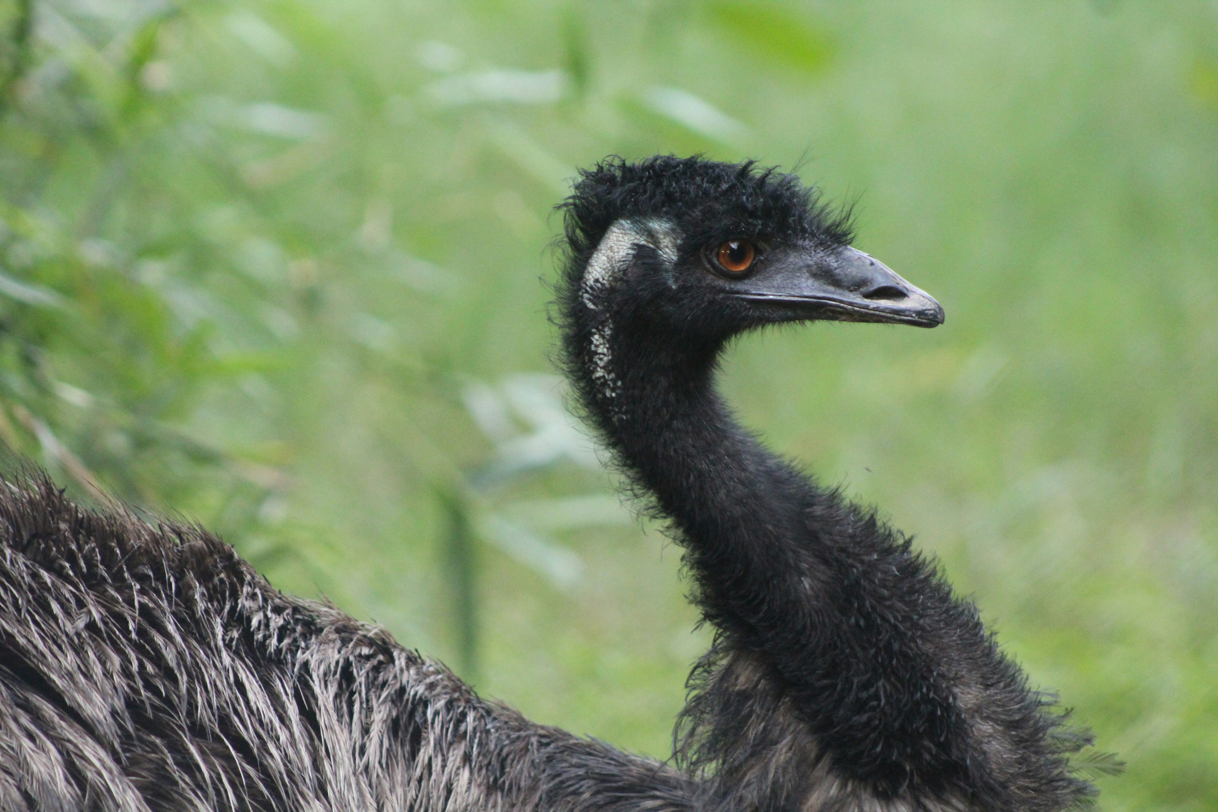 Photo by ____s_umi_t__