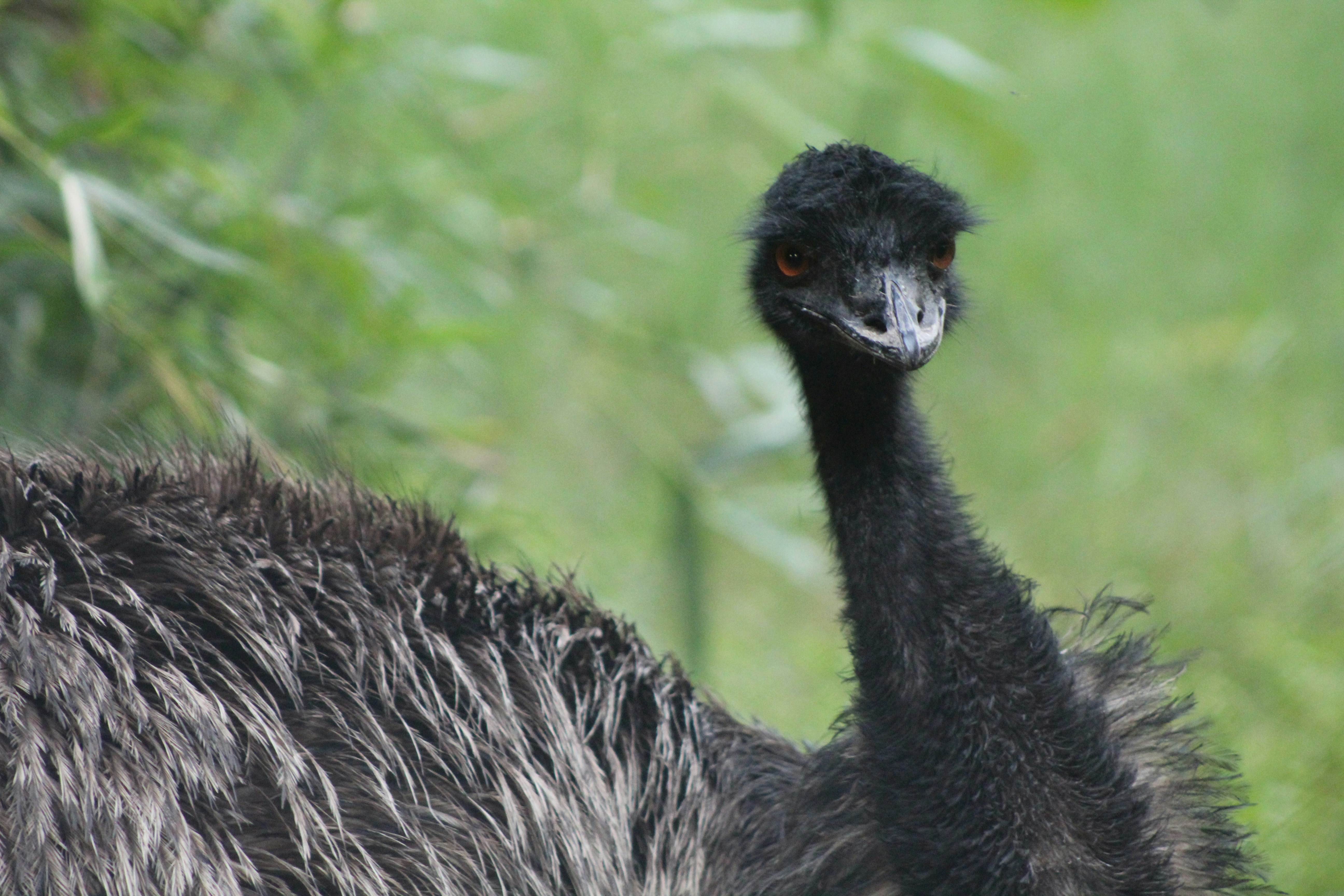 Photo by ____s_umi_t__