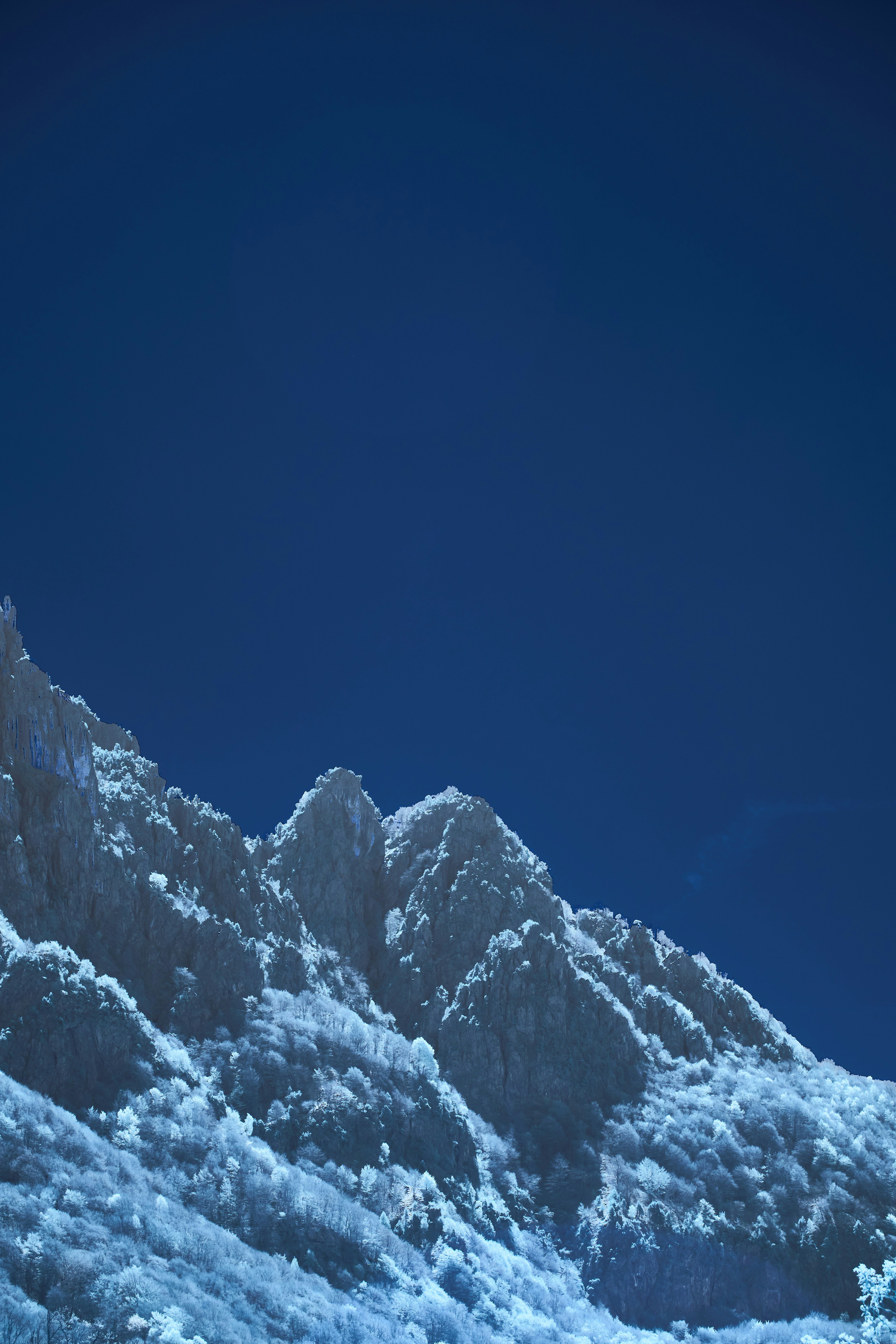 Photo by wolfgang_hasselmann