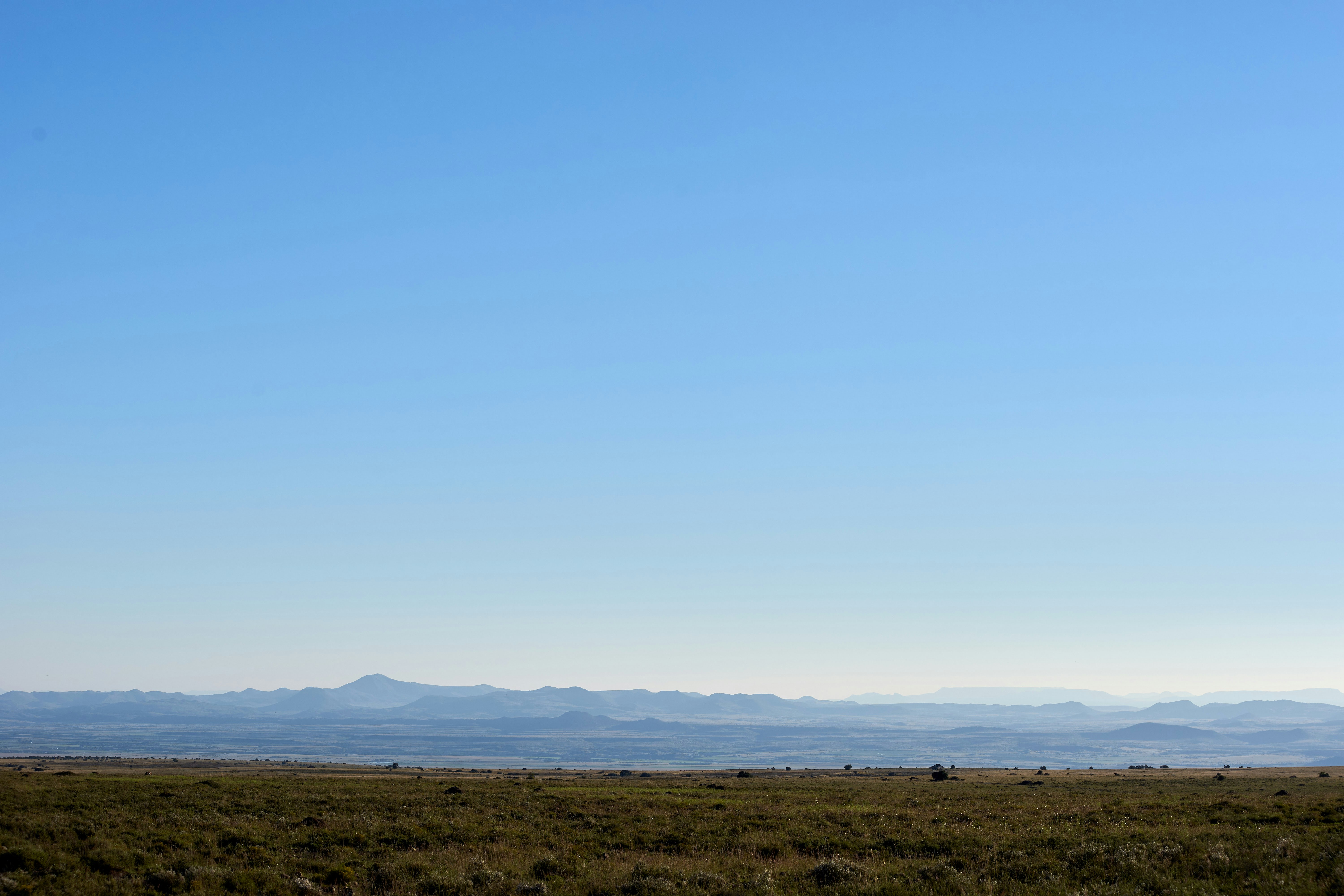 Photo by wolfgang_hasselmann