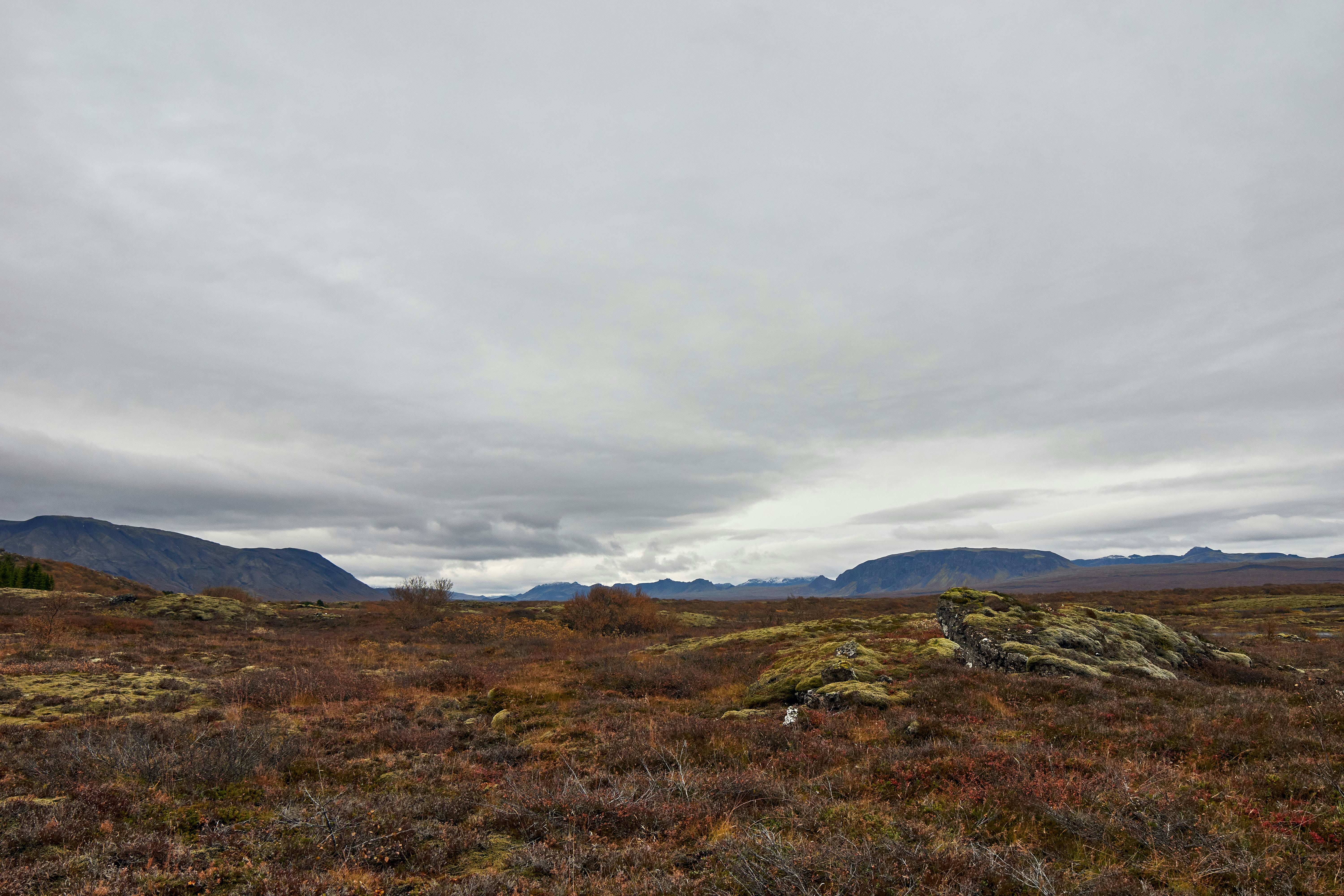 Photo by wolfgang_hasselmann