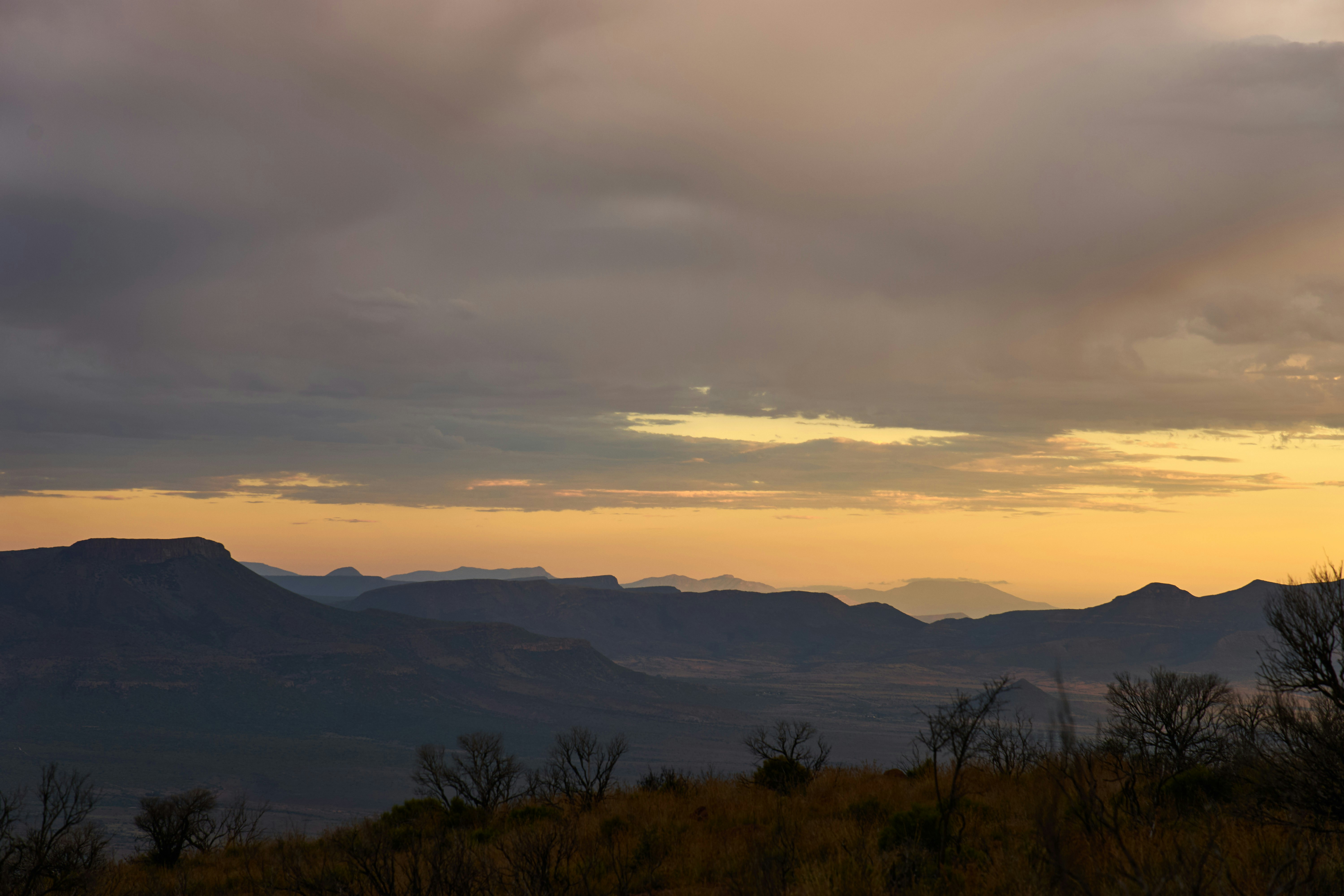 Photo by wolfgang_hasselmann