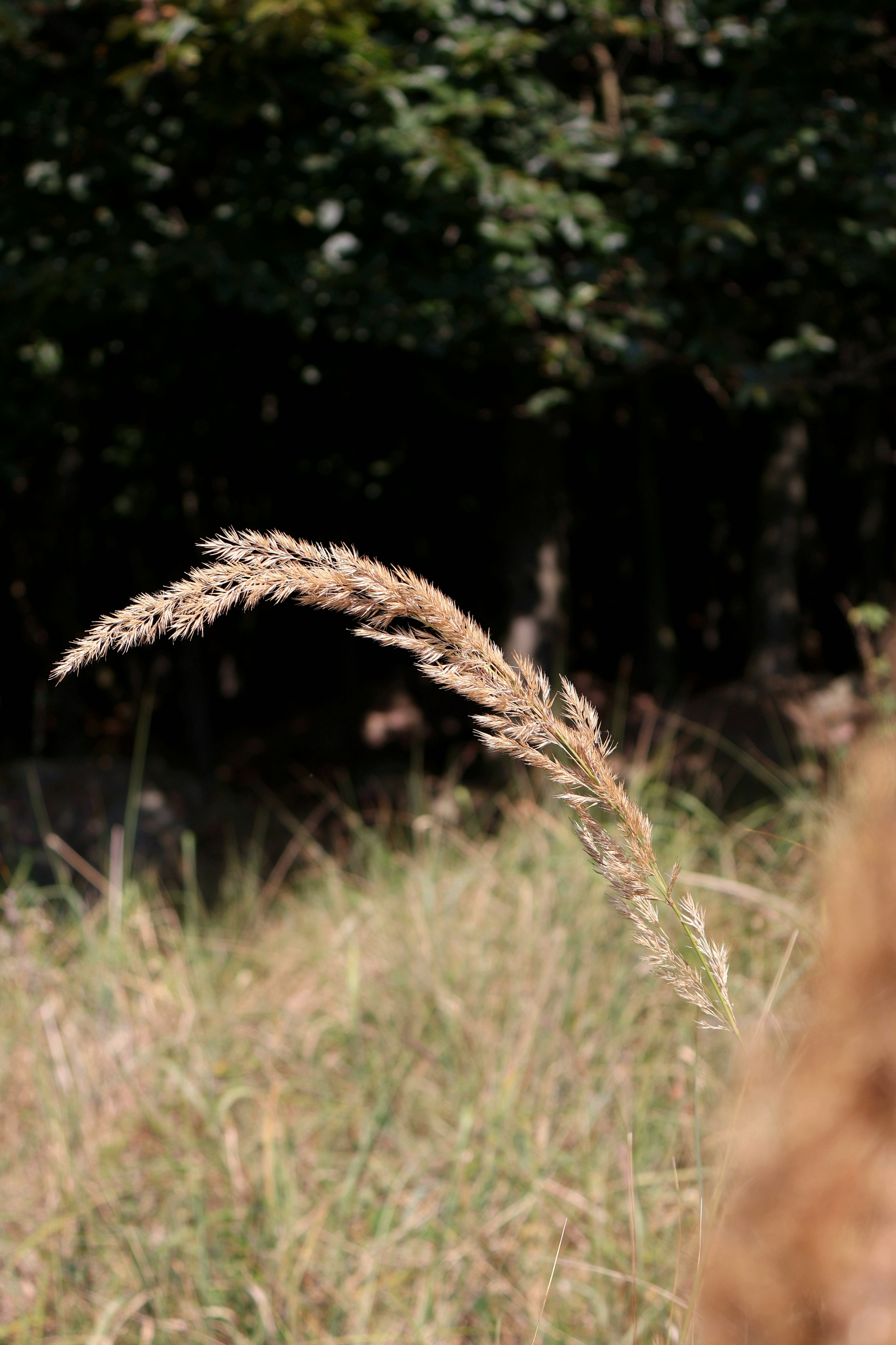 Photo by martin_lednar