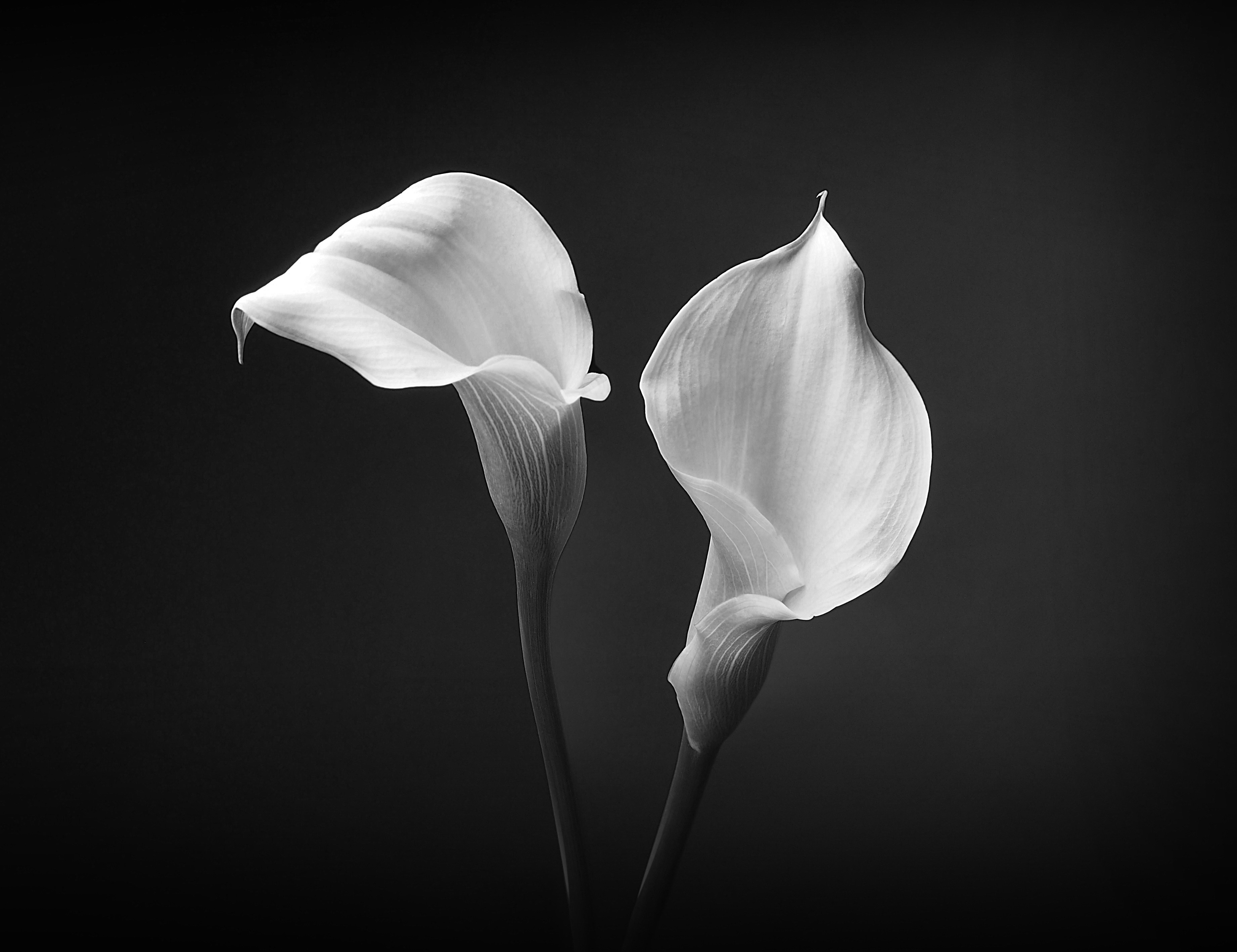 Photo by geoffrey_green_05