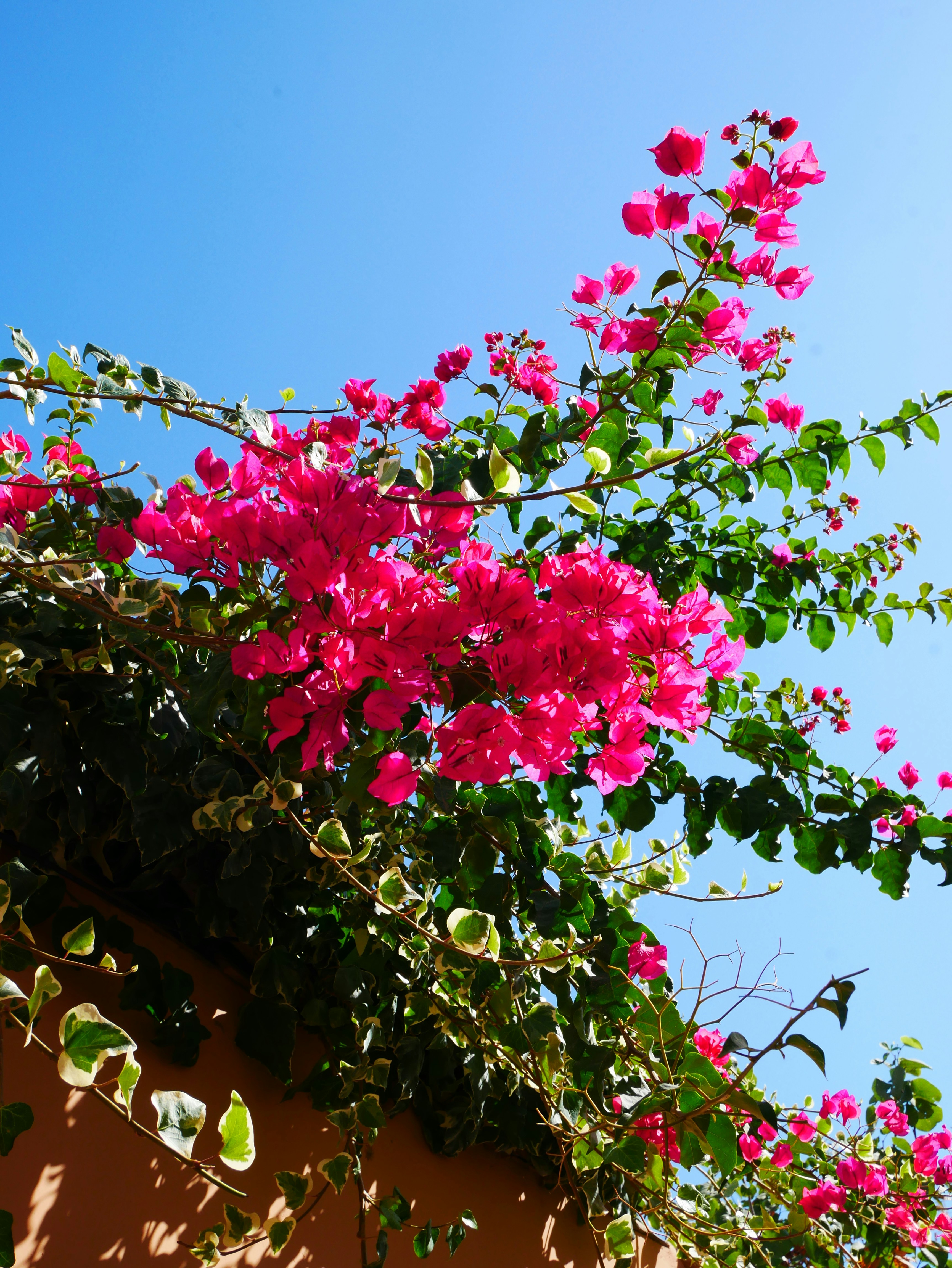 Photo by imkeschmitz