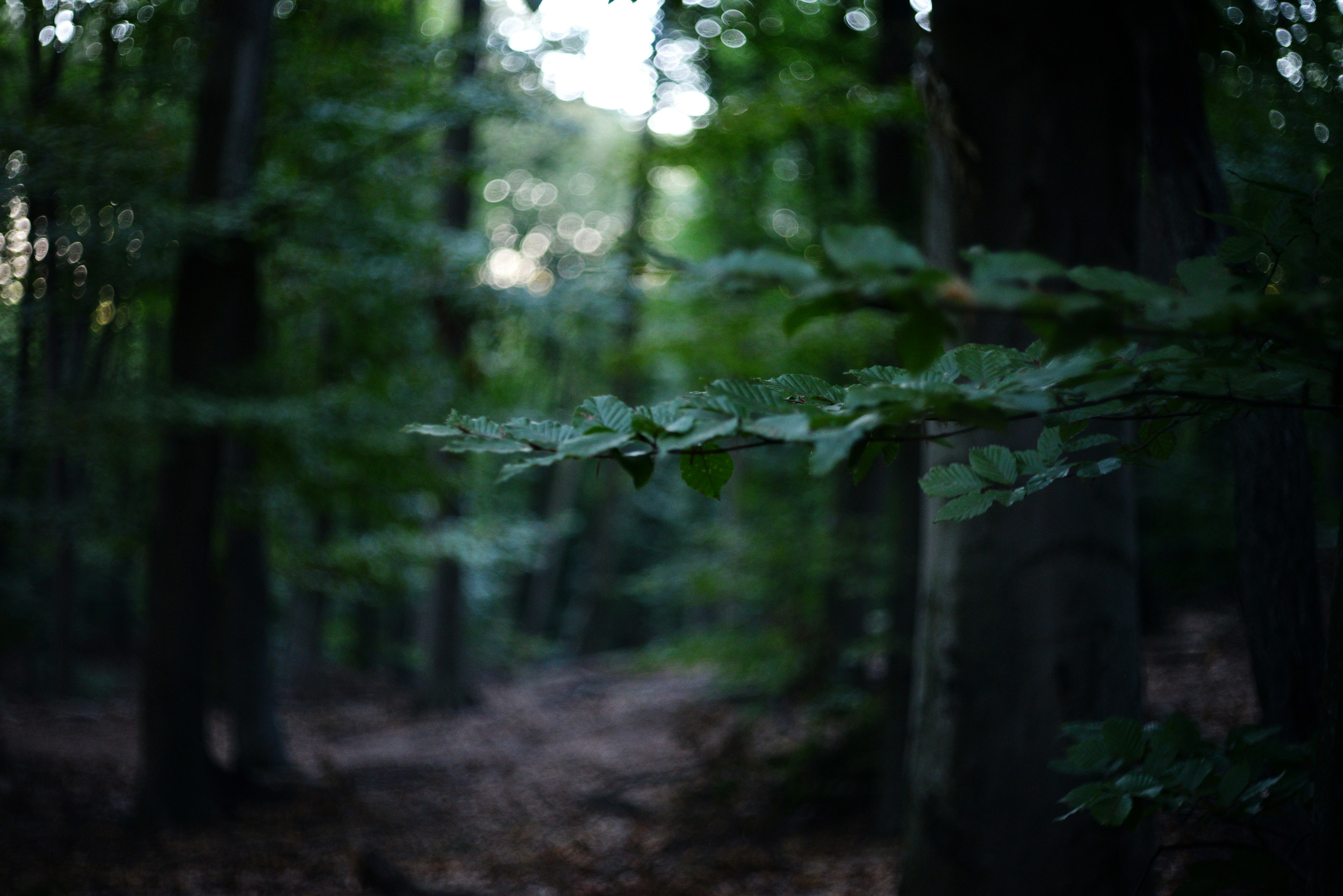 Photo by cherstve_pechivo