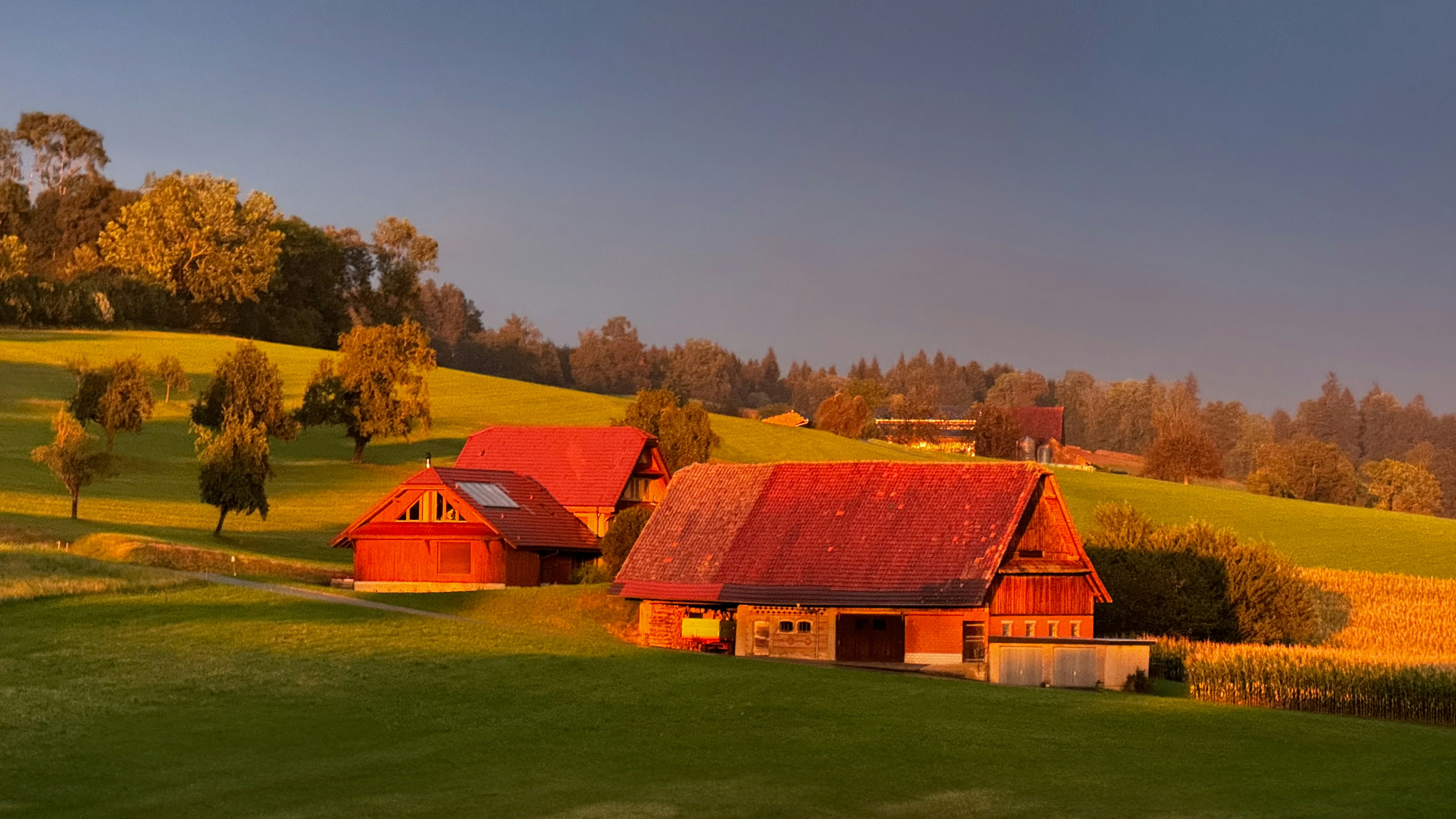 Photo by jeannicolas