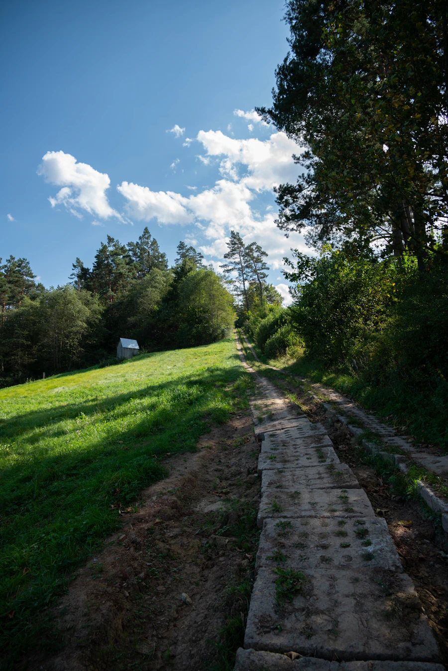Grüne Landschaft mit Weg