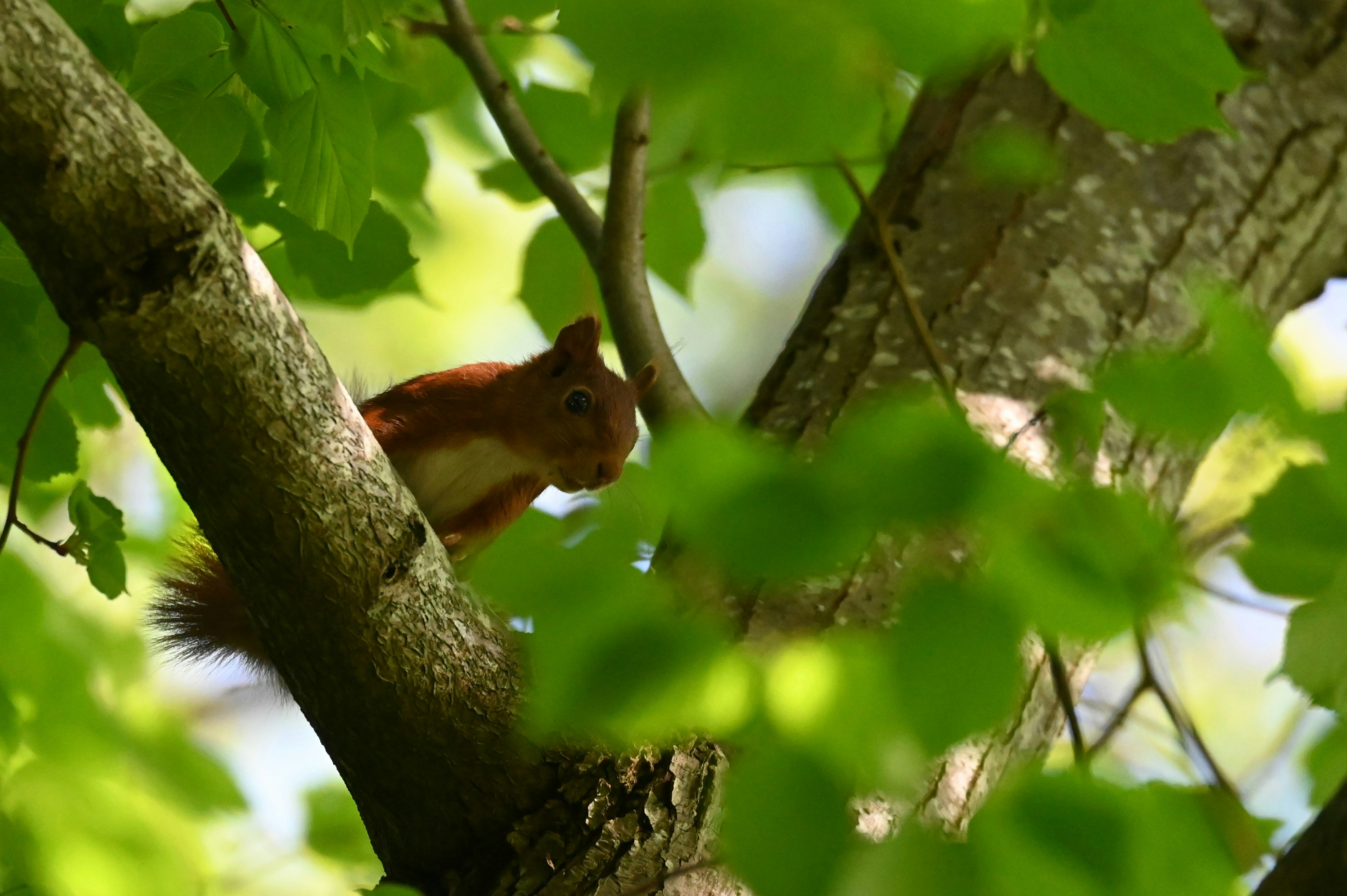 Photo by jeandekindt