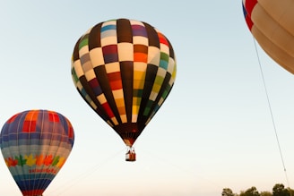 A group of hot air balloons flying in the sky