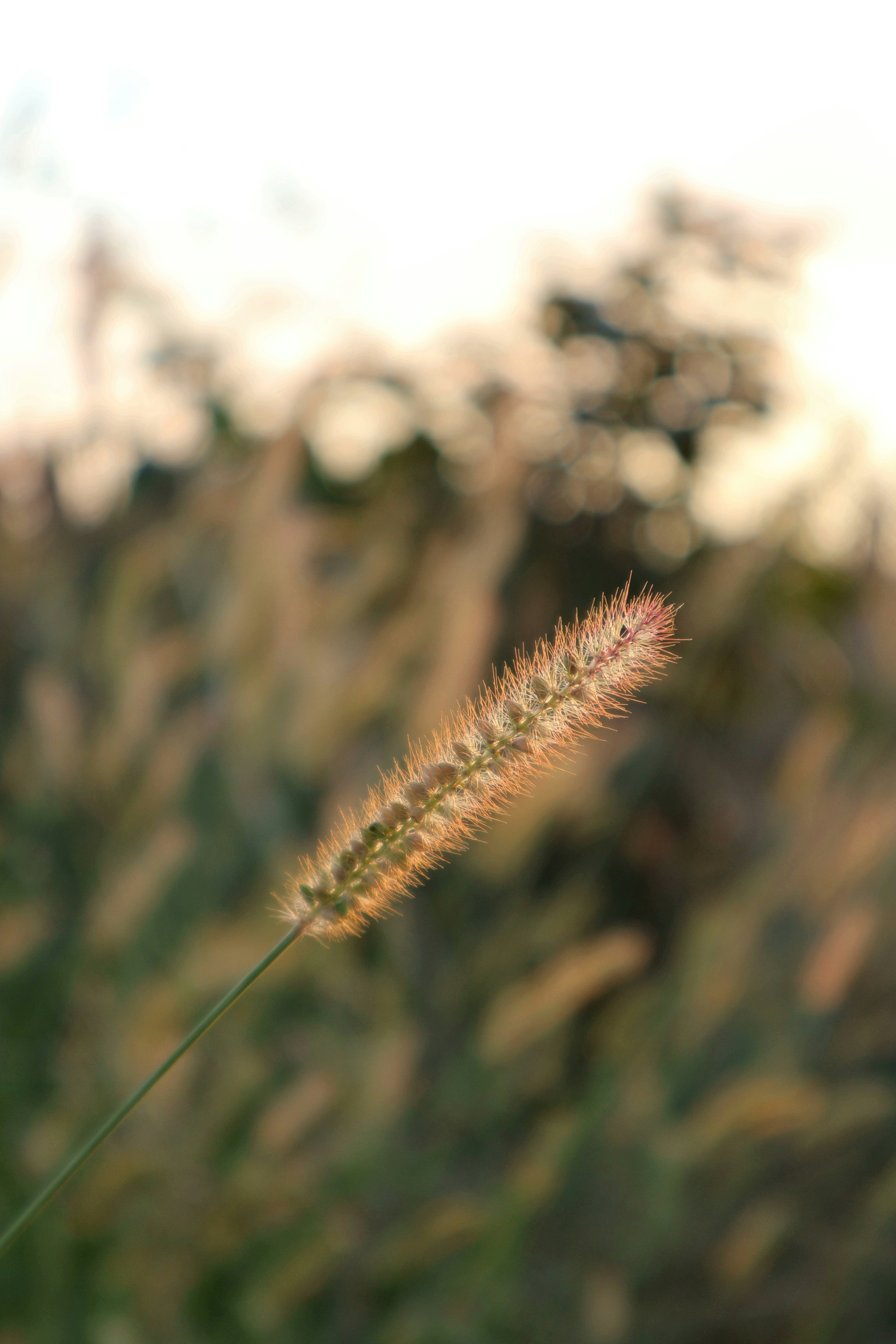 Photo by martin_lednar