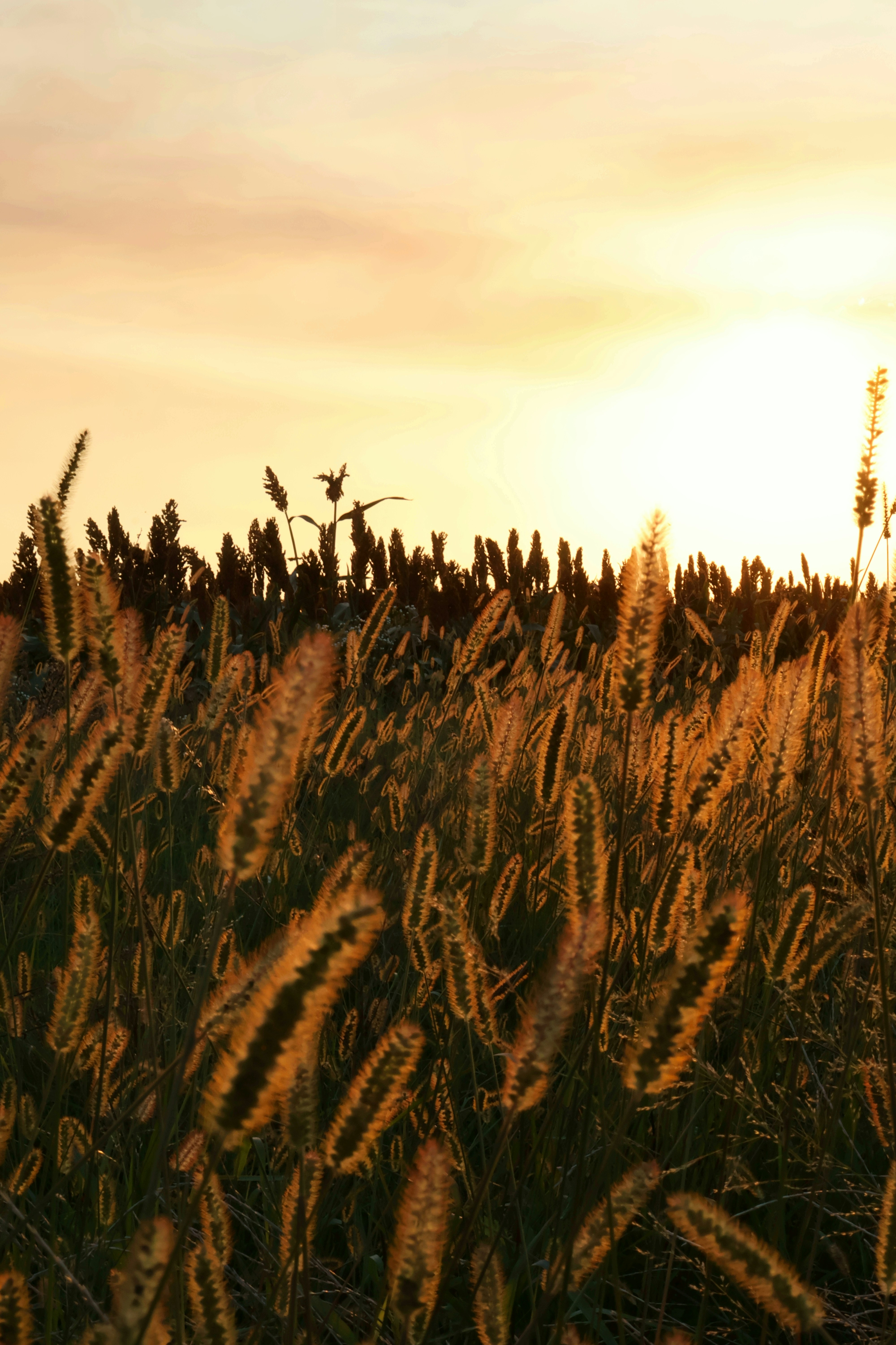 Photo by martin_lednar