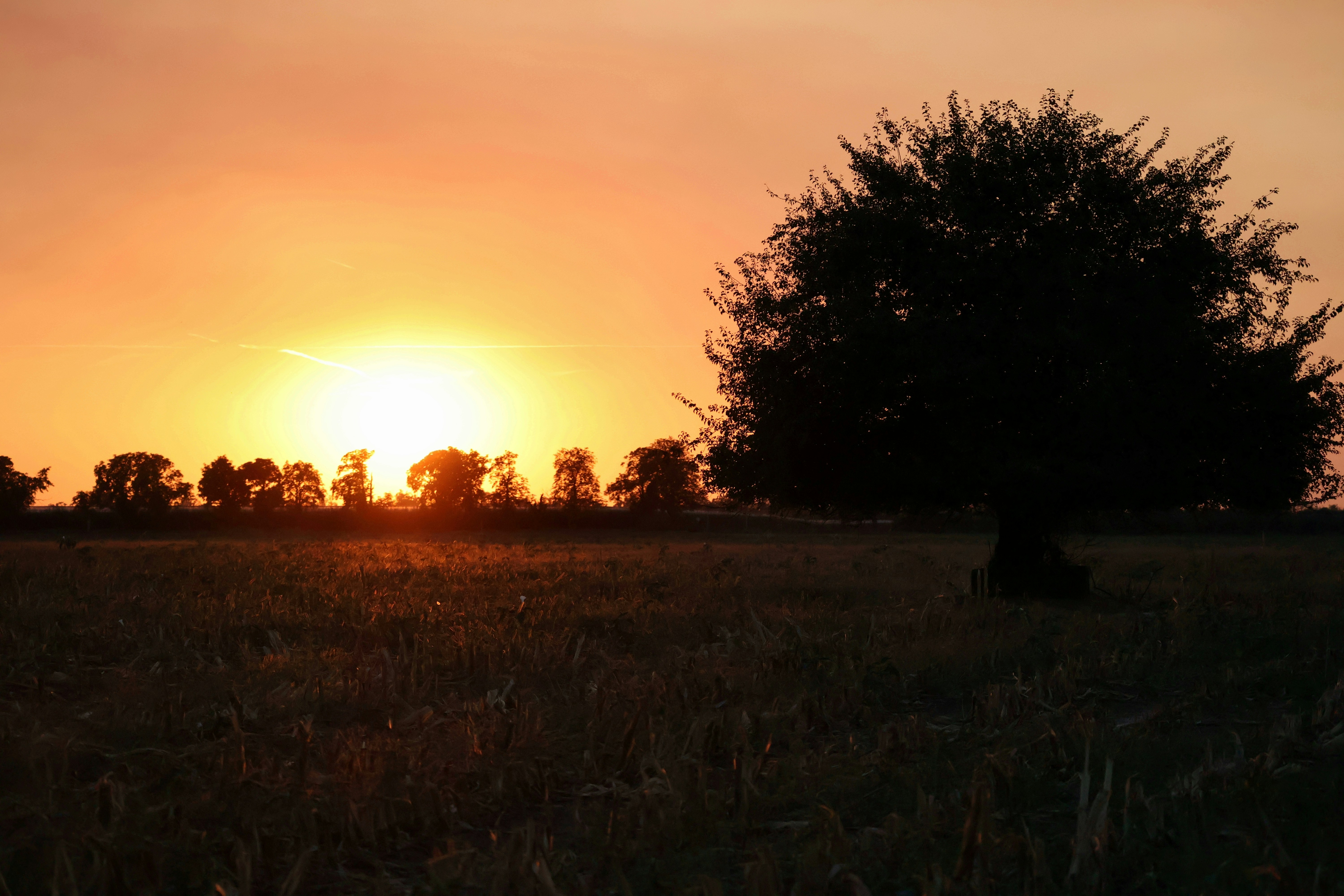 Photo by martin_lednar