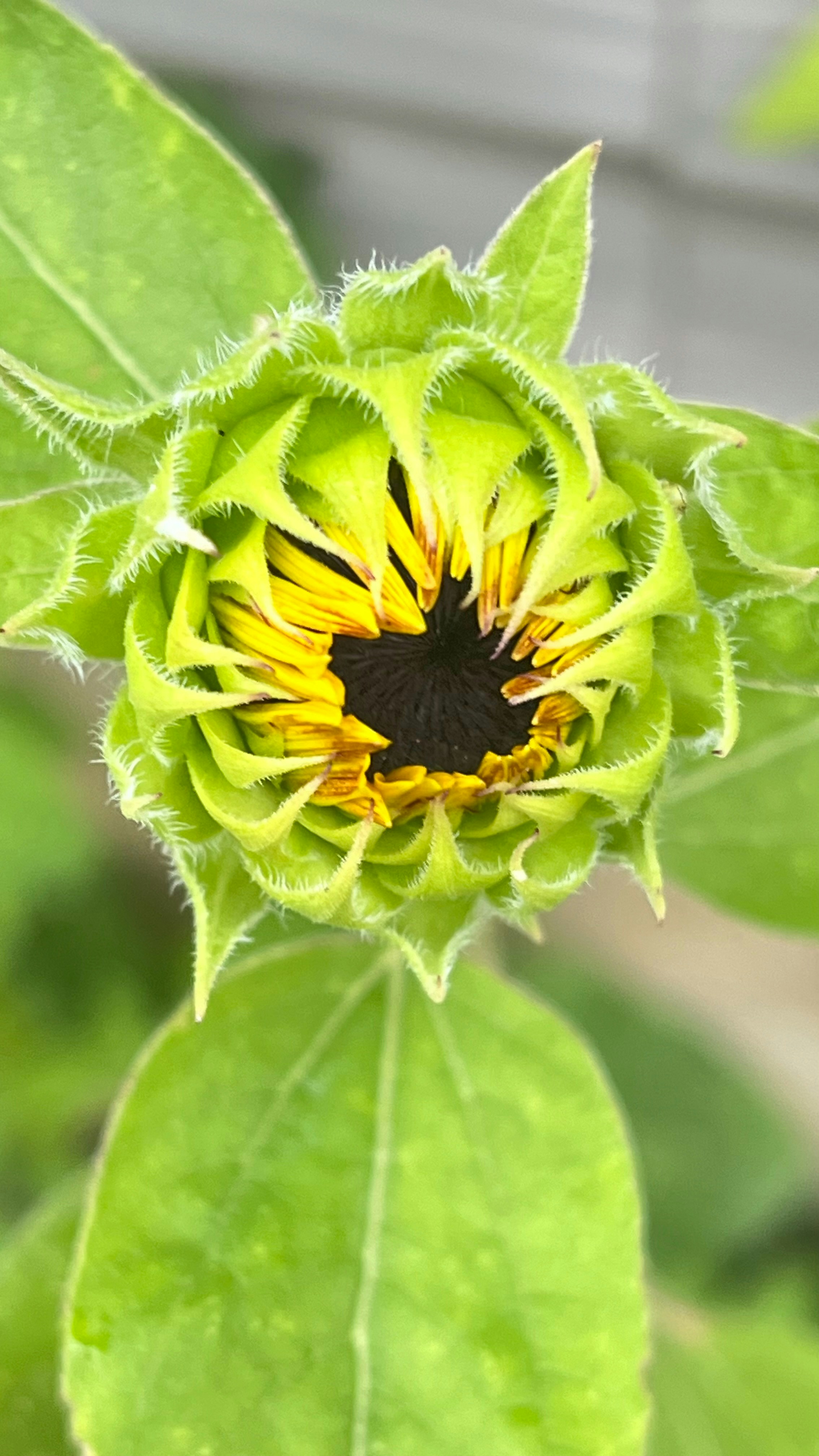 Photo by lisa_duqlaw