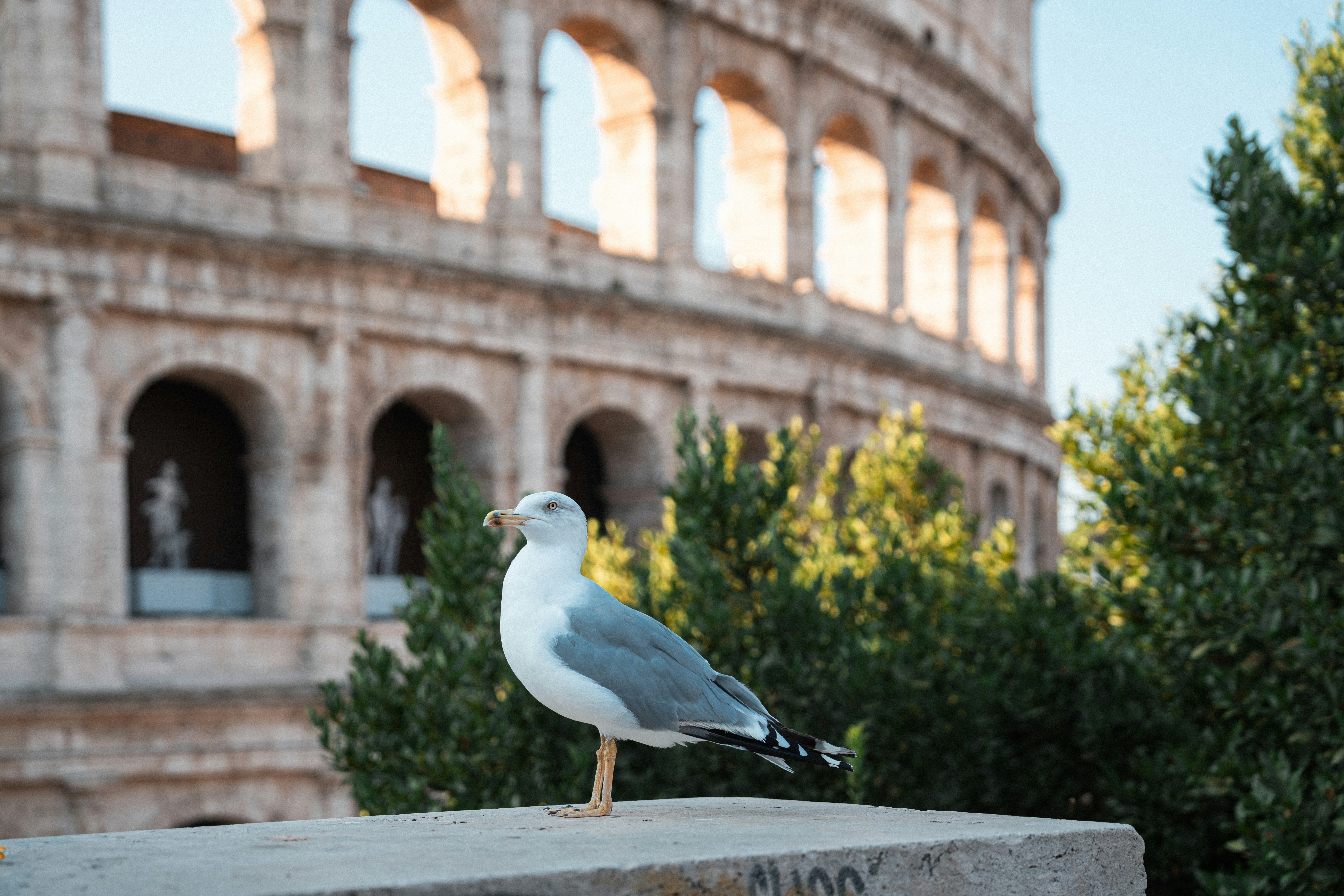 Rome
